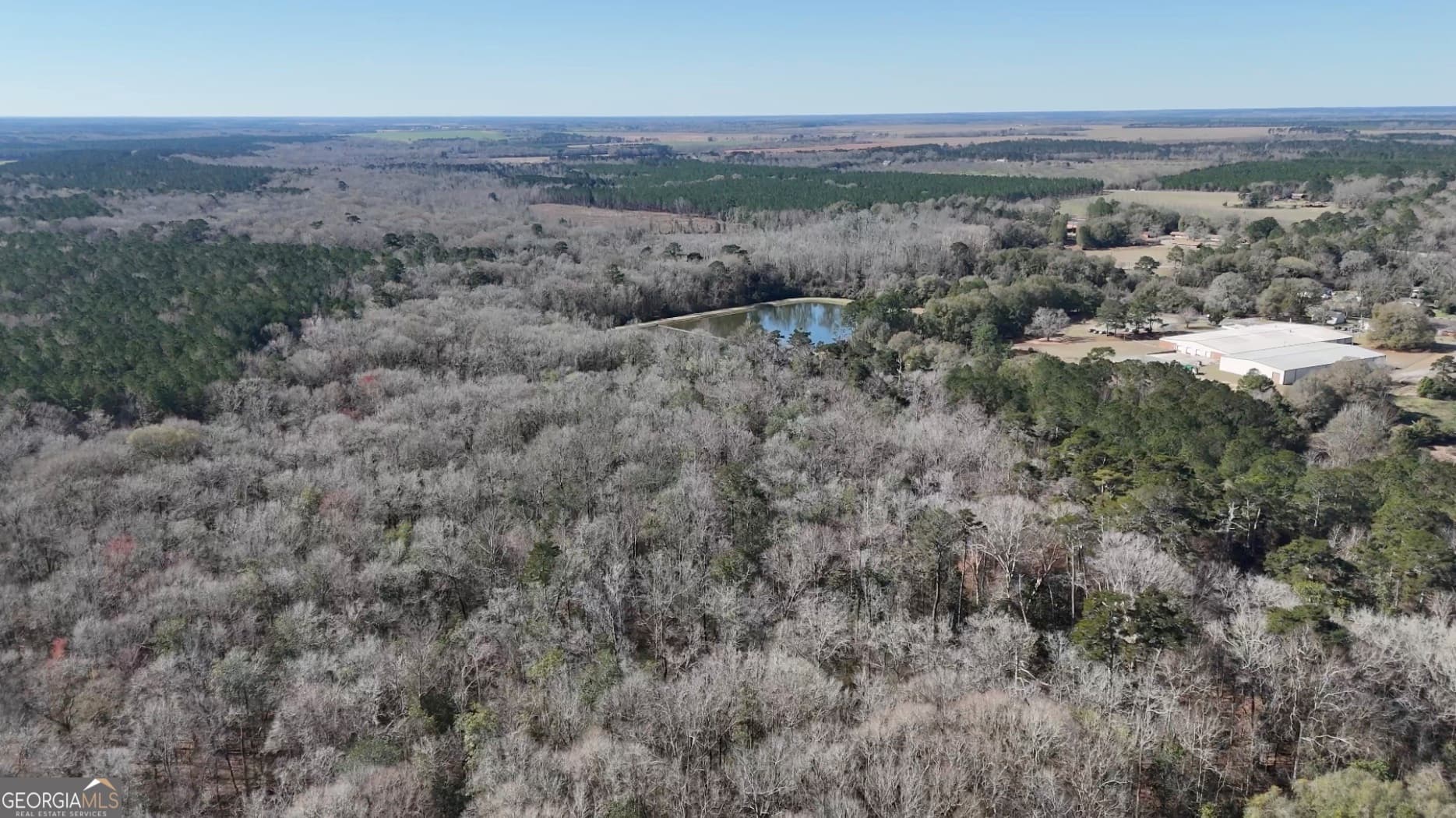 unimproved land for sale at 0 Highway 90, Byromville, GA 31007 — photo 7