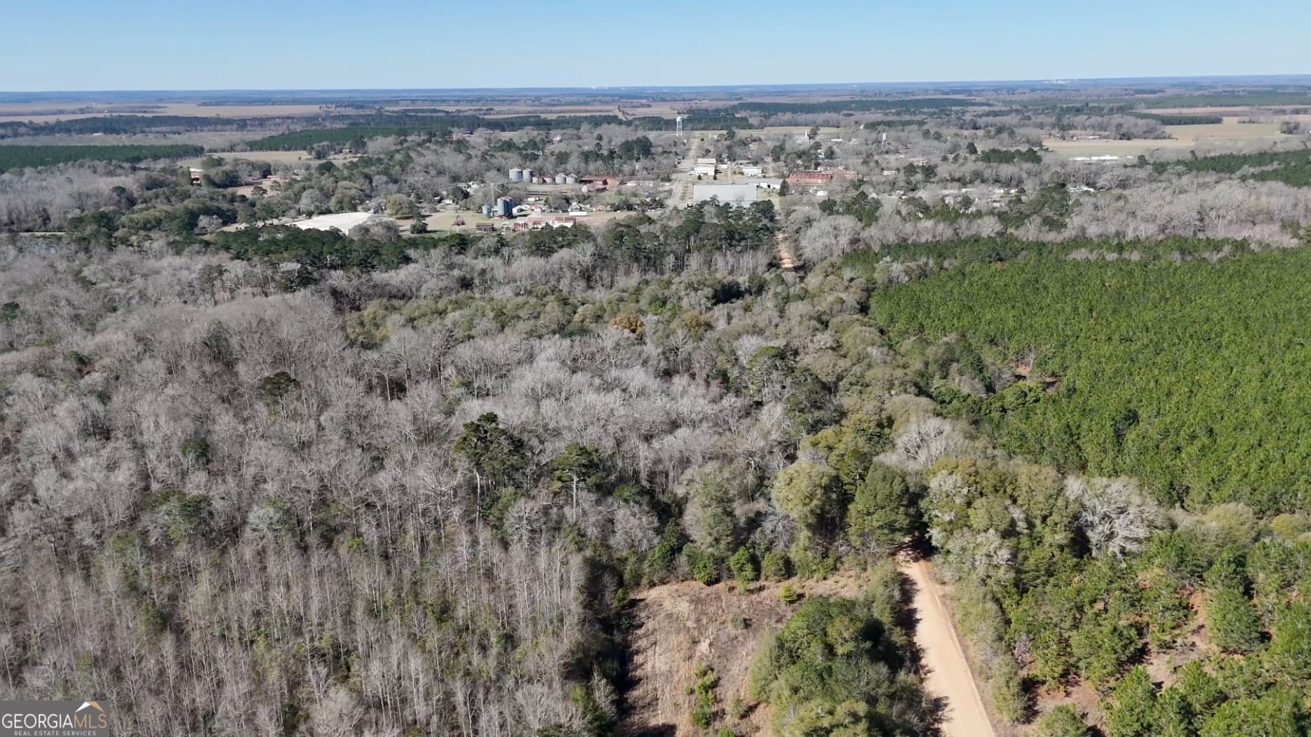unimproved land for sale at 0 Highway 90, Byromville, GA 31007 — photo 3