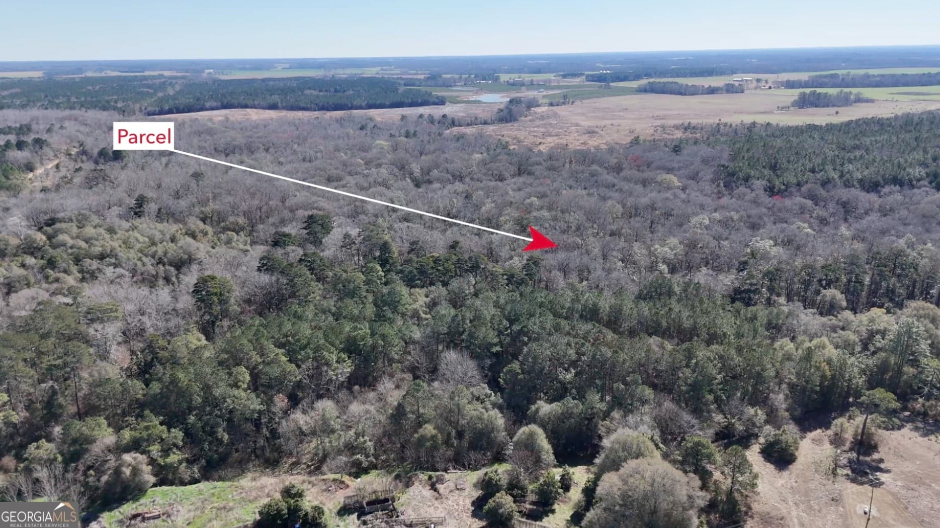 unimproved land for sale at 0 Highway 90, Byromville, GA 31007 — photo 5