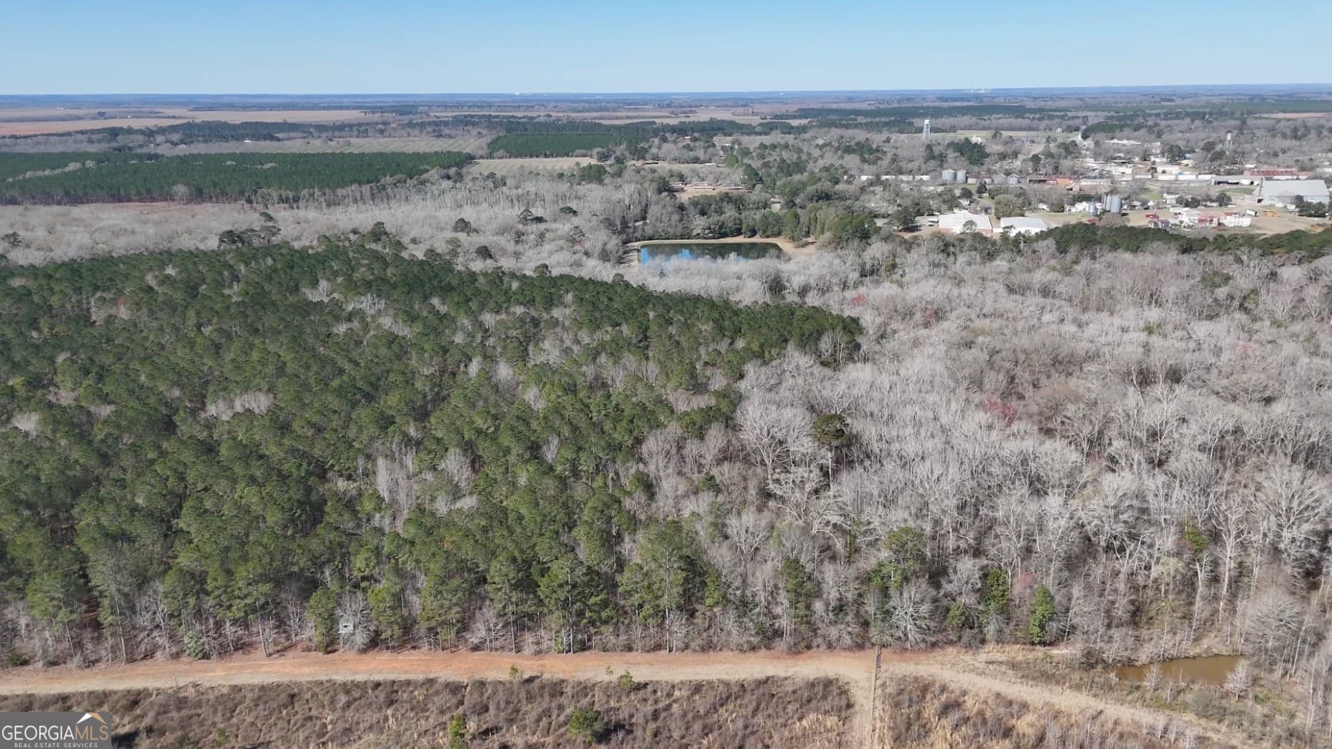 unimproved land for sale at 0 Highway 90, Byromville, GA 31007 — photo 9