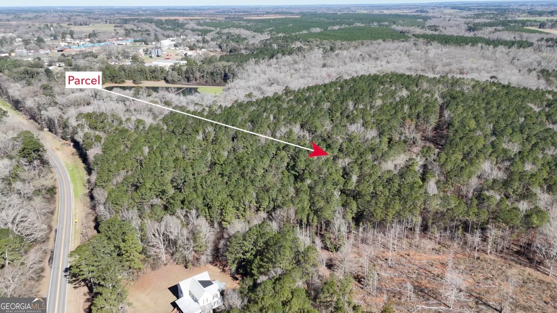 unimproved land for sale at 0 Highway 90, Byromville, GA 31007 — photo 10