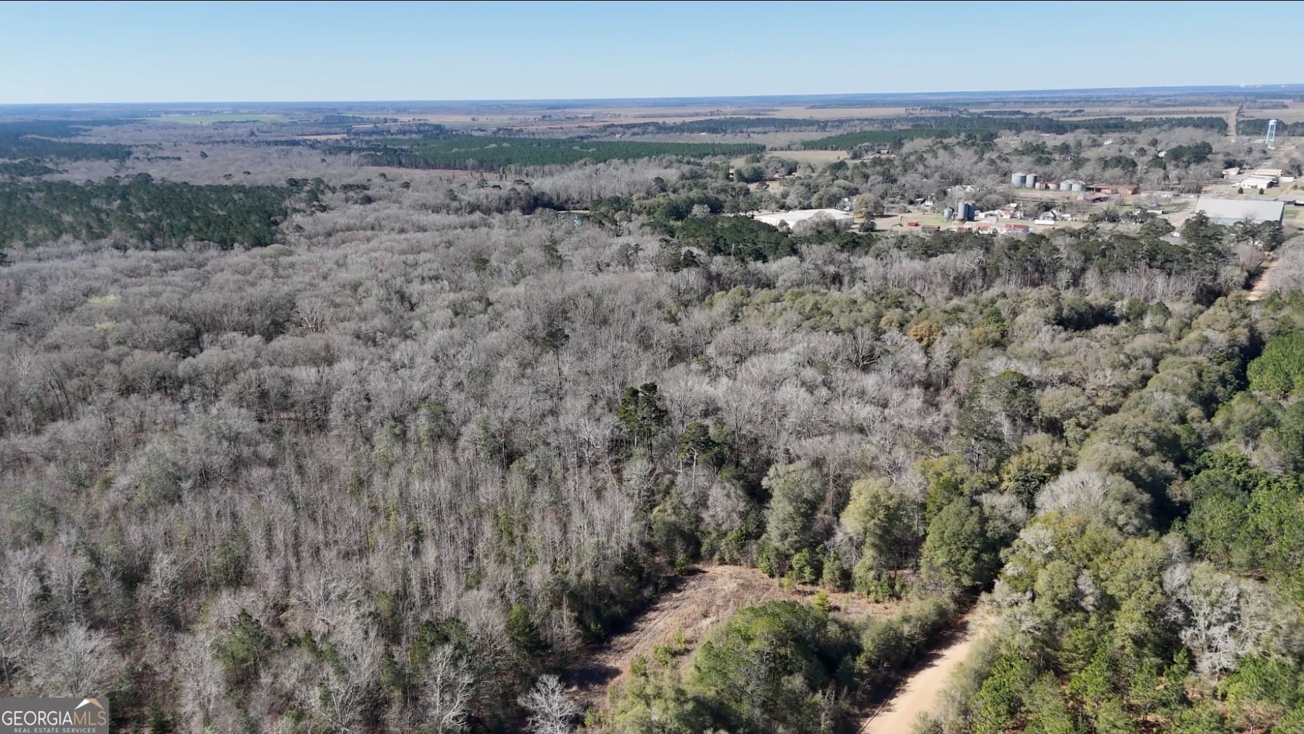 unimproved land for sale at 0 Highway 90, Byromville, GA 31007 — photo 4