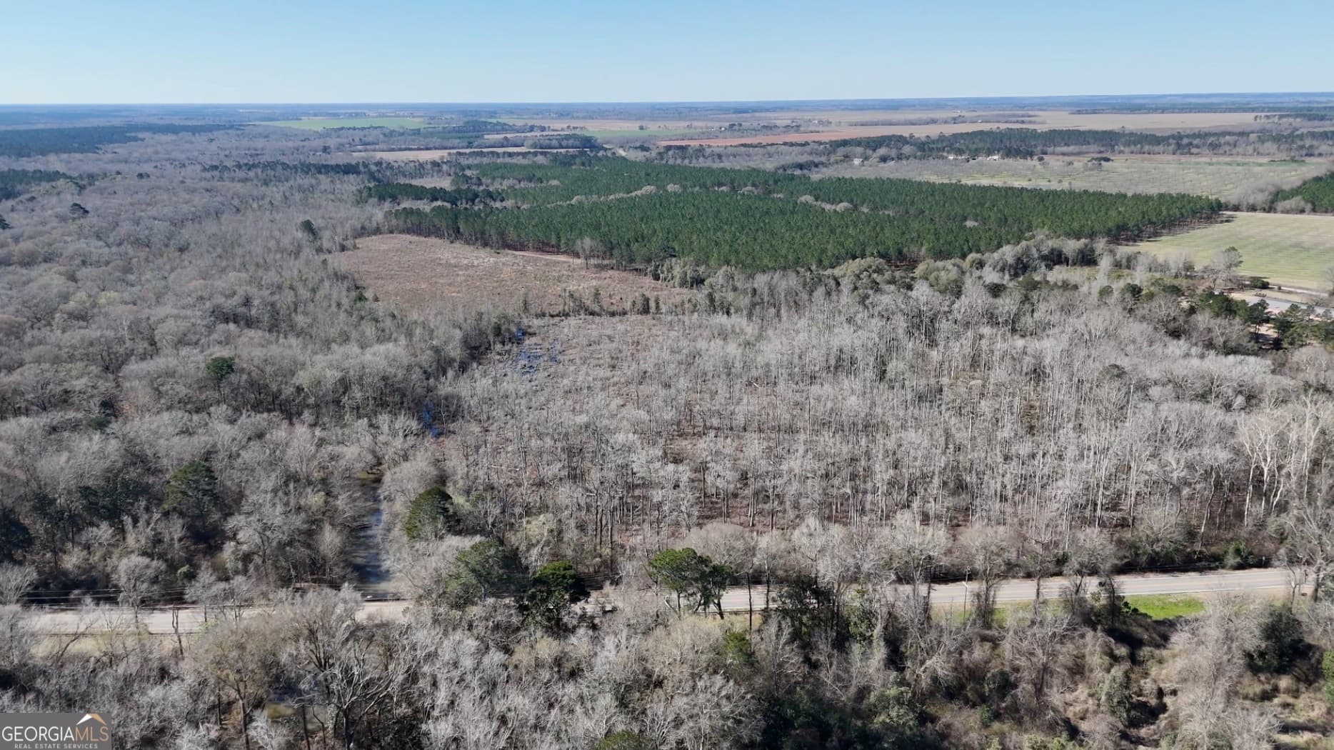 unimproved land for sale at 0 Highway 90, Byromville, GA 31007 — photo 8