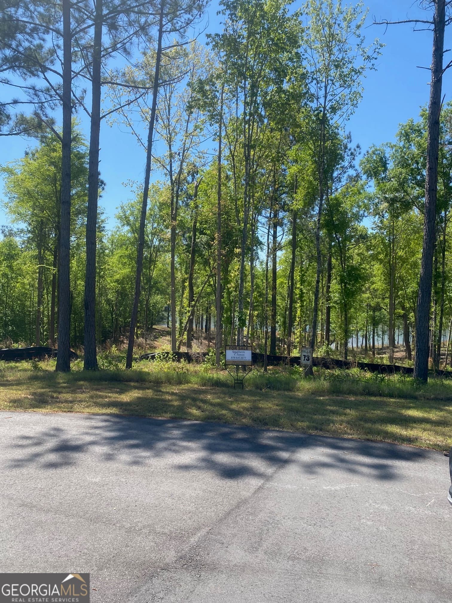 unimproved land for sale at 261 Chimney Rock Trail, Milledgeville, GA 31061 — photo 1 of 13