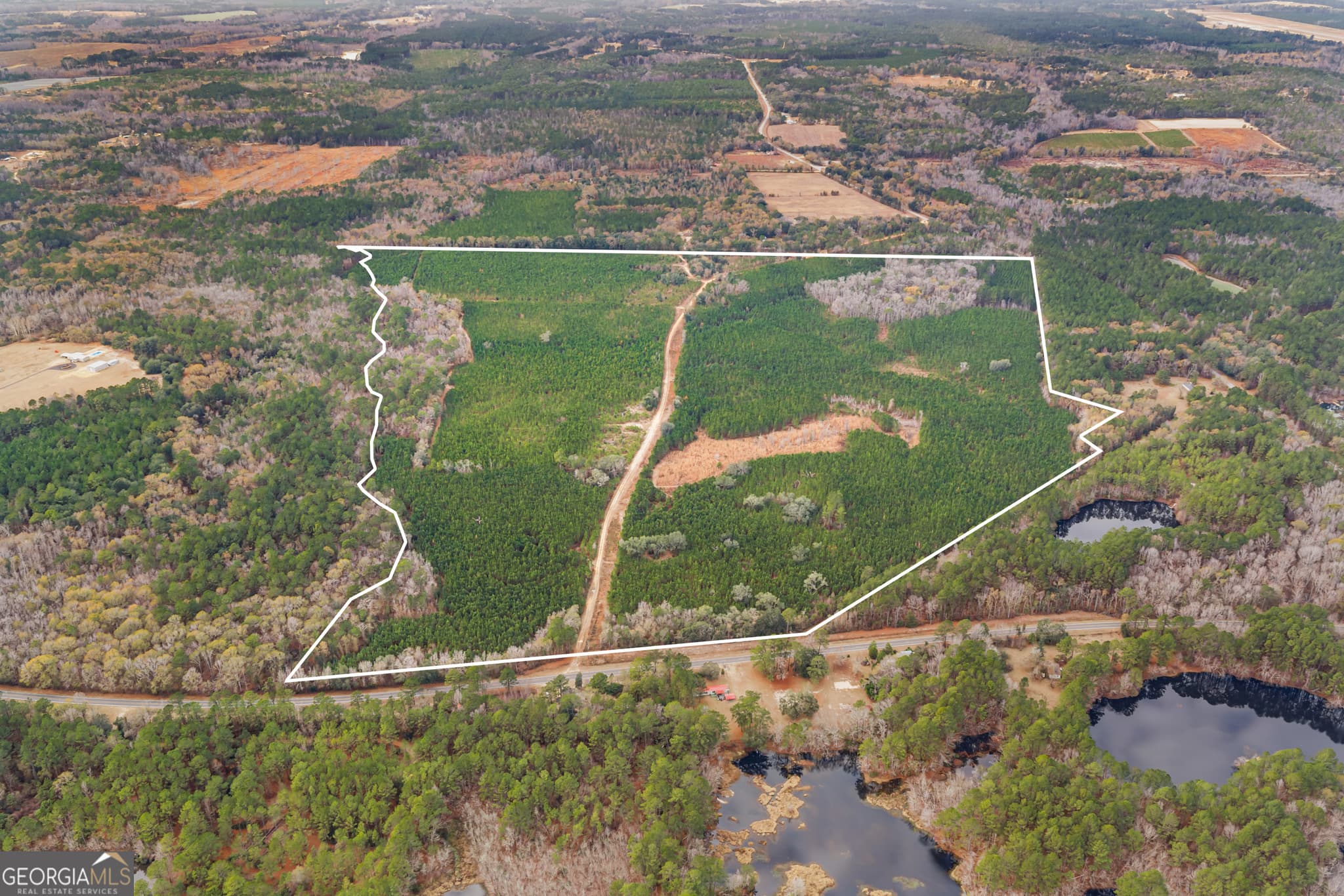 agriculture sold at 0 Jacob Wilkinson Circle, Claxton, GA 30417