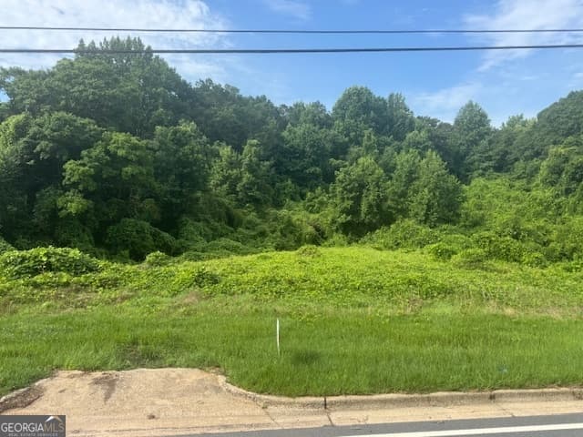 unimproved land for sale at 200 W Washington Street, Newnan, GA 30263 — photo 2