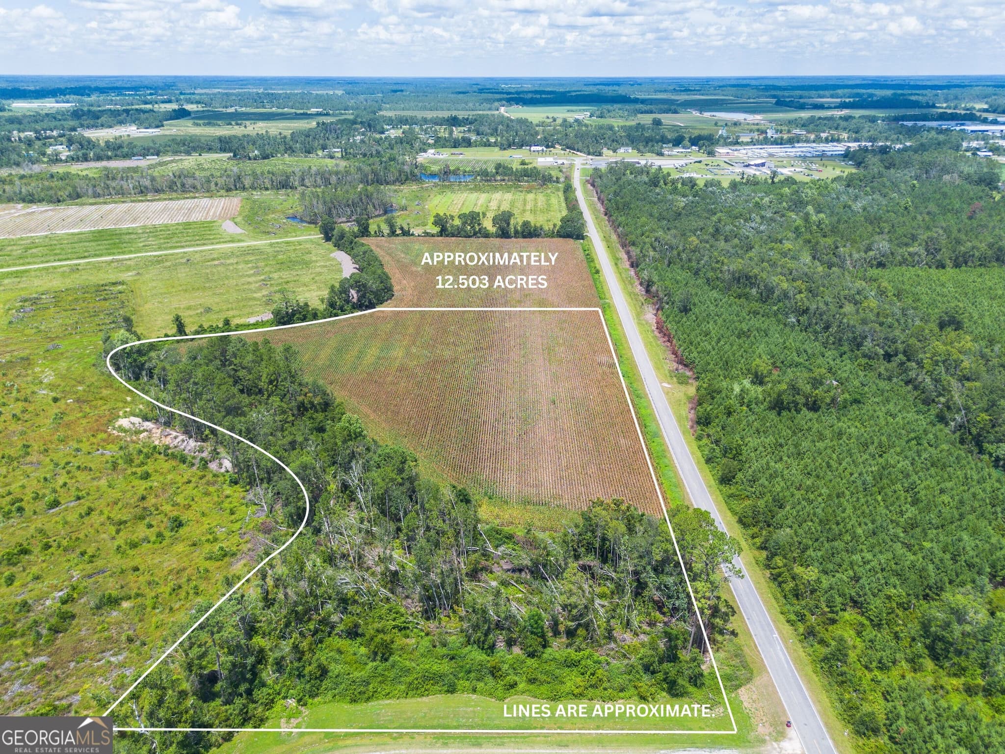 agriculture sold at 600 Teakwood Road, Alma, GA 31510