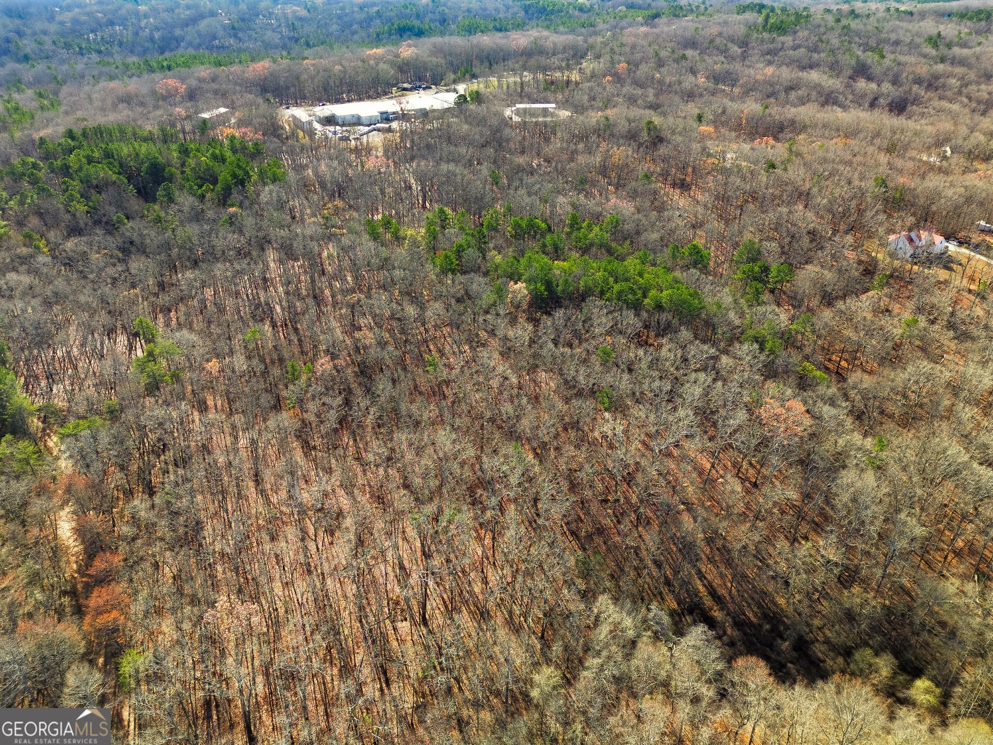 agriculture for sale at 0 Hogan Pond Lane, Ball Ground, GA 30107 — photo 6