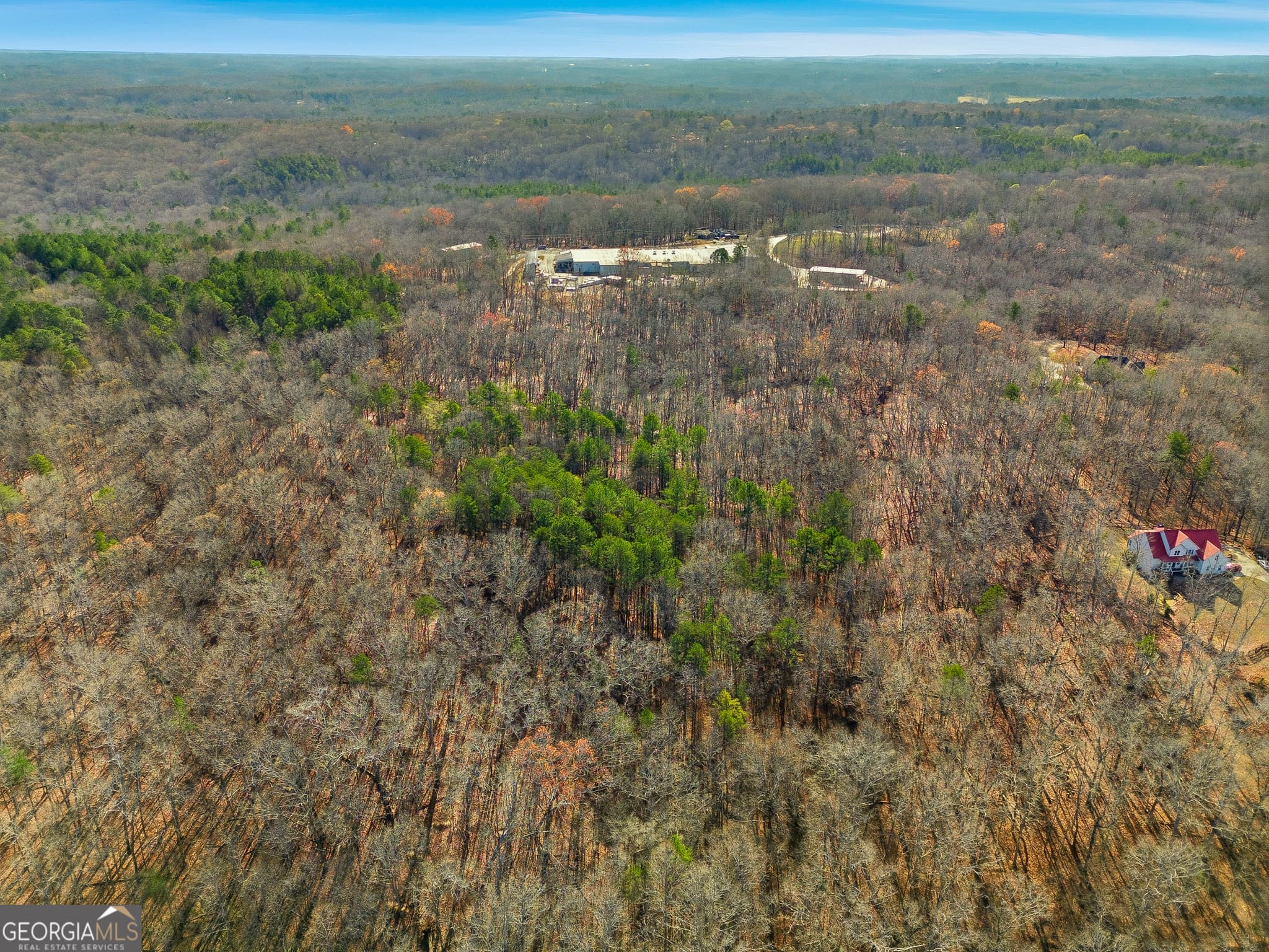 agriculture for sale at 0 Hogan Pond Lane, Ball Ground, GA 30107 — photo 5