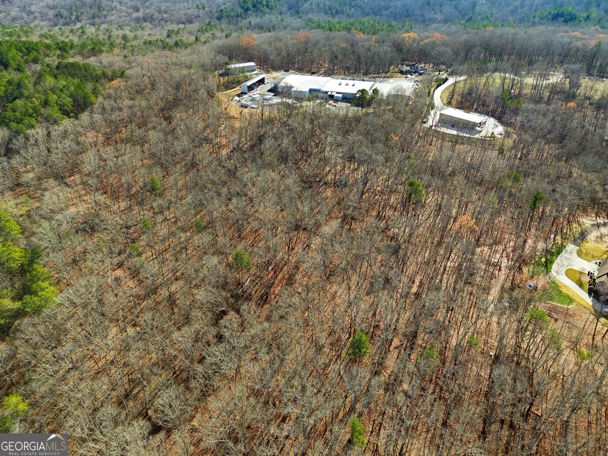 agriculture for sale at 0 Hogan Pond Lane, Ball Ground, GA 30107 — photo 4