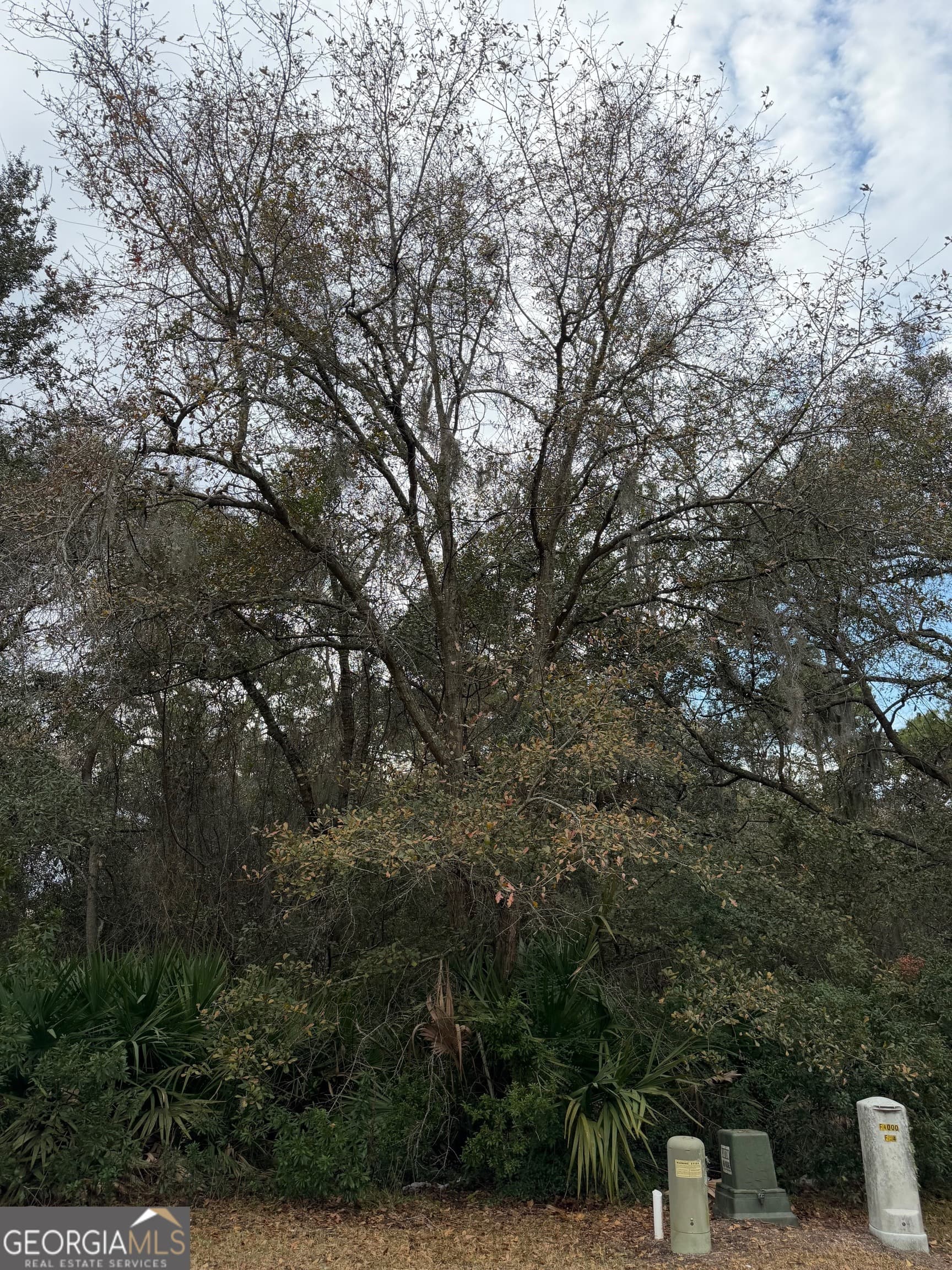 residential lot for sale at V/L 823 Stern Street, St. Marys, GA 31558 — photo 1 of 18