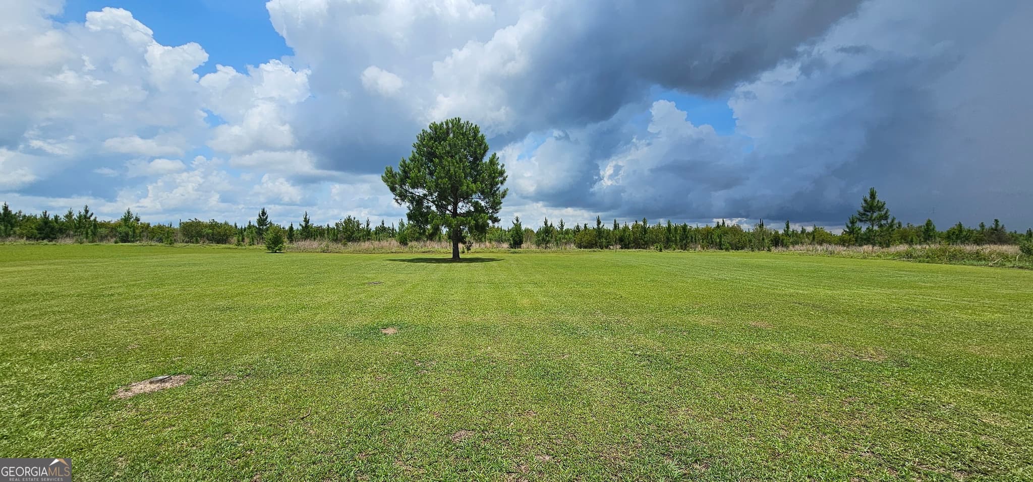 3 bedroom, 2 bathroom, 2,091 sq ft single family residence under contract at 157 Scarlett Ohara Drive, Ailey, GA 30410 — photo 5