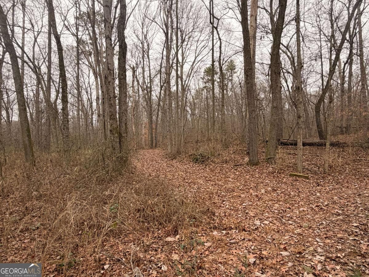 unimproved land for sale at 1830 US Highway 27, Bremen, GA 30110 — photo 6