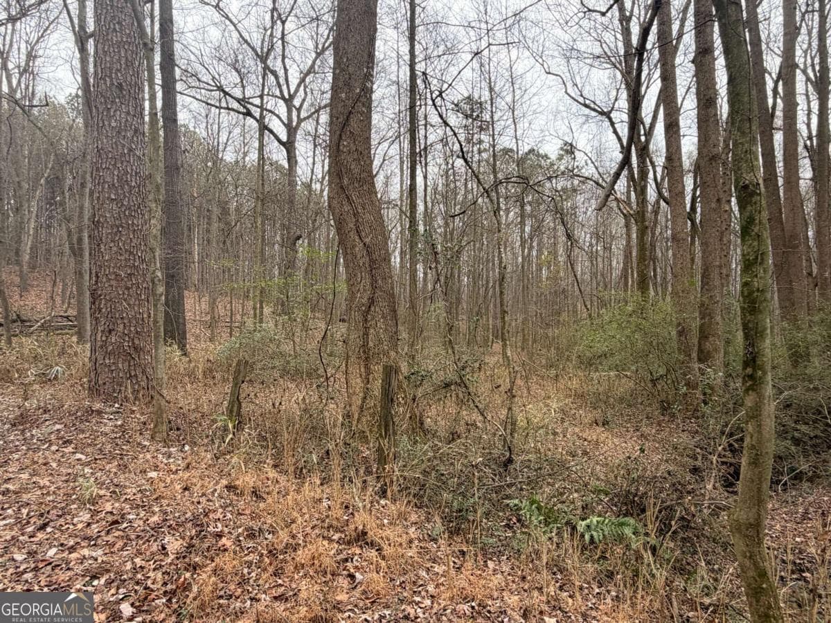 unimproved land for sale at 1830 US Highway 27, Bremen, GA 30110 — photo 7