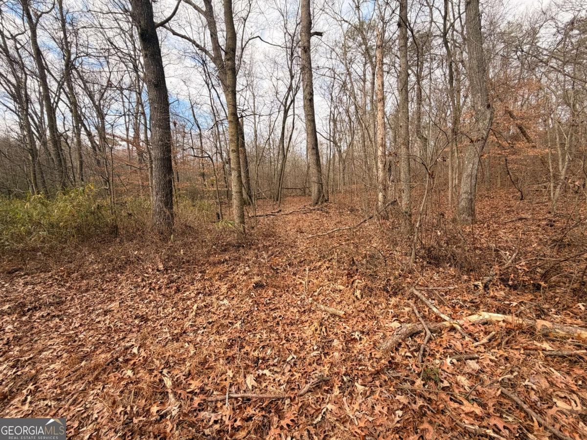unimproved land for sale at 1830 US Highway 27, Bremen, GA 30110 — photo 3