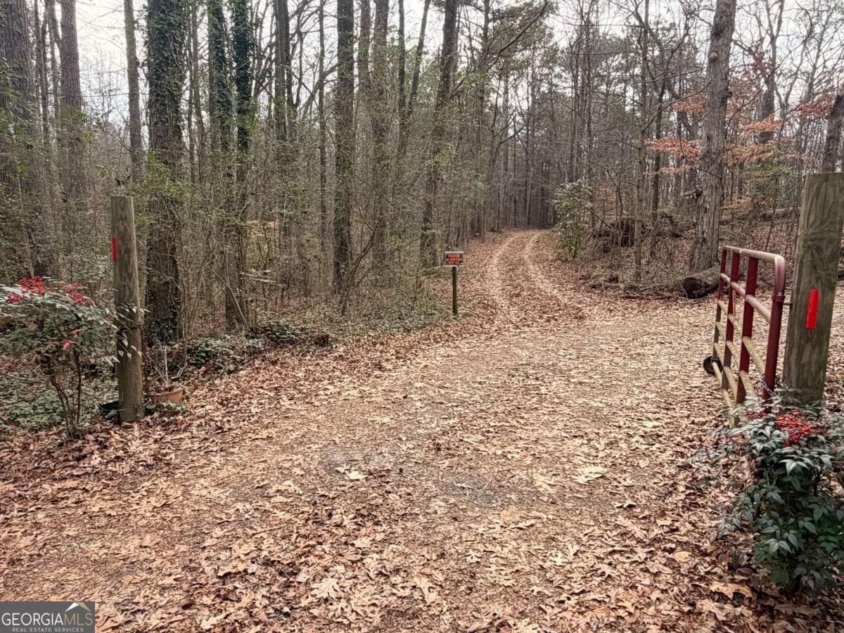unimproved land for sale at 1830 US Highway 27, Bremen, GA 30110 — photo 1 of 10