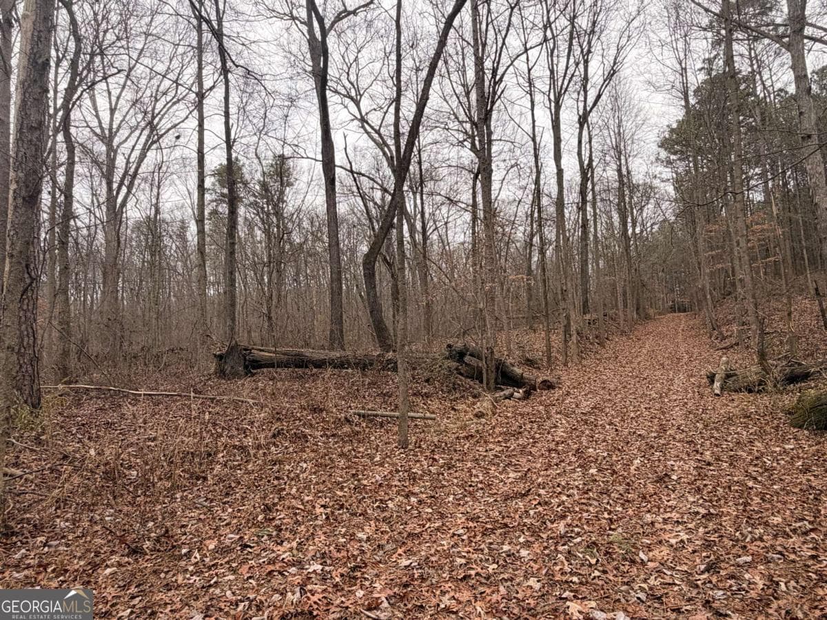 unimproved land for sale at 1830 US Highway 27, Bremen, GA 30110 — photo 5
