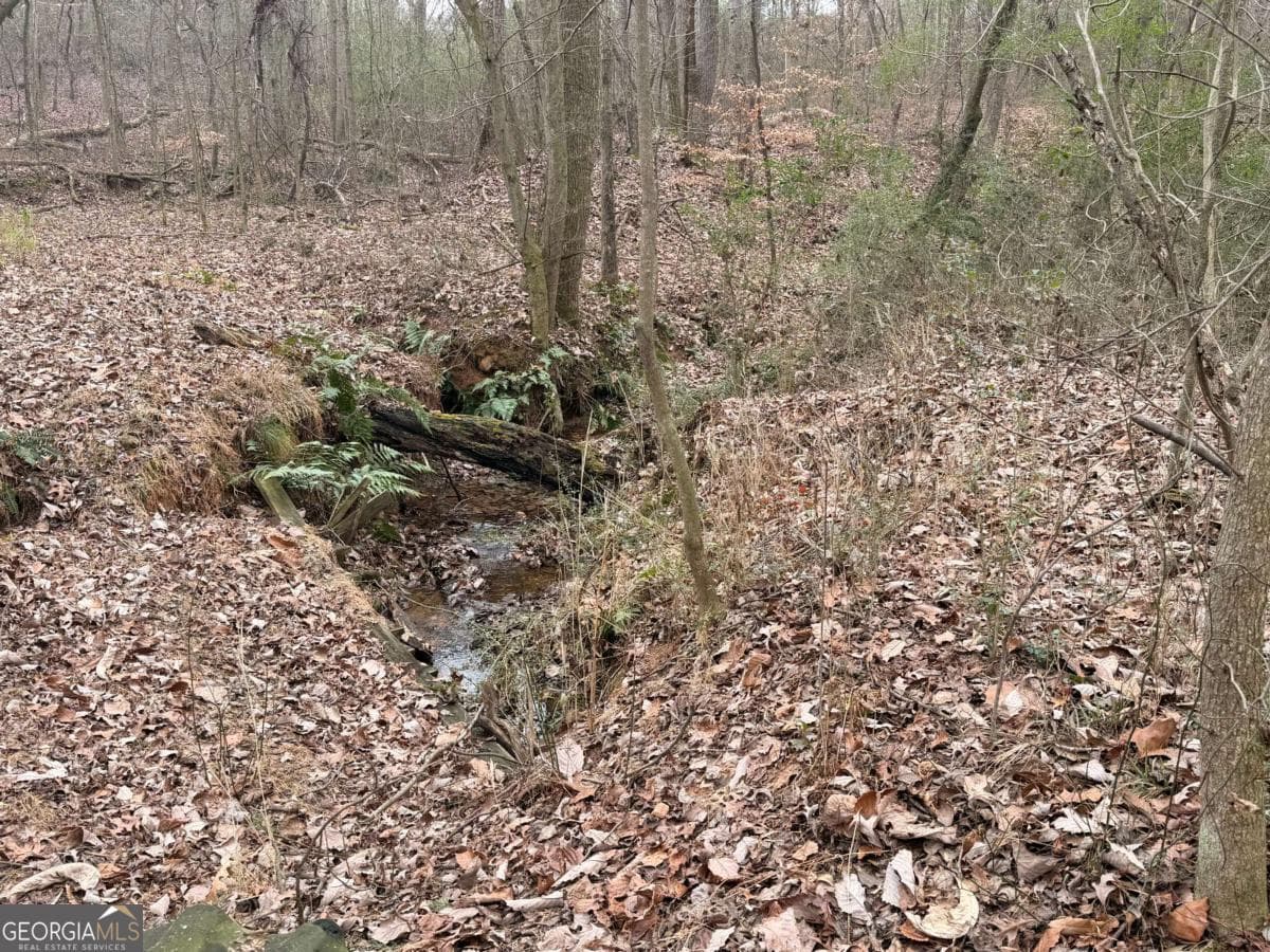 unimproved land for sale at 1830 US Highway 27, Bremen, GA 30110 — photo 9
