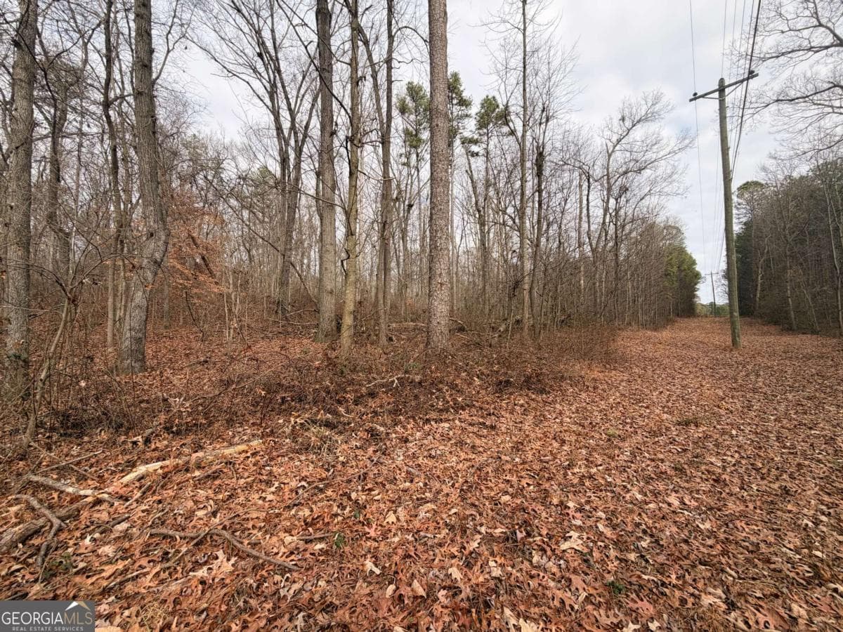 unimproved land for sale at 1830 US Highway 27, Bremen, GA 30110 — photo 4