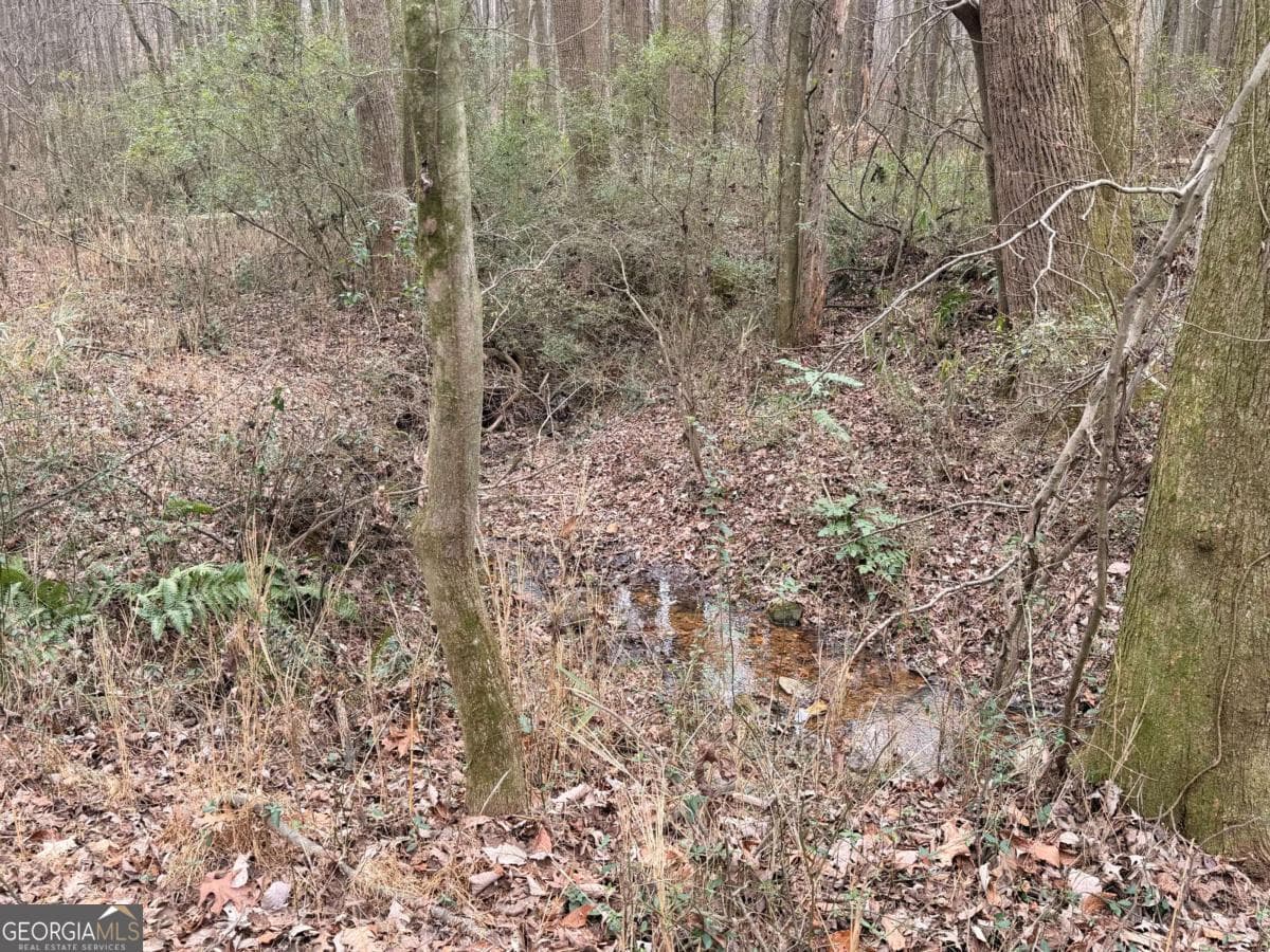 unimproved land for sale at 1830 US Highway 27, Bremen, GA 30110 — photo 8