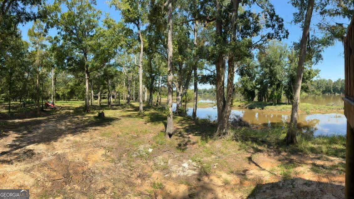 2 bedroom, 2 bathroom, 1,000 sq ft cabin,single family residence for sale at 0 Eagles Point, Surrency, GA 31563 — photo 6