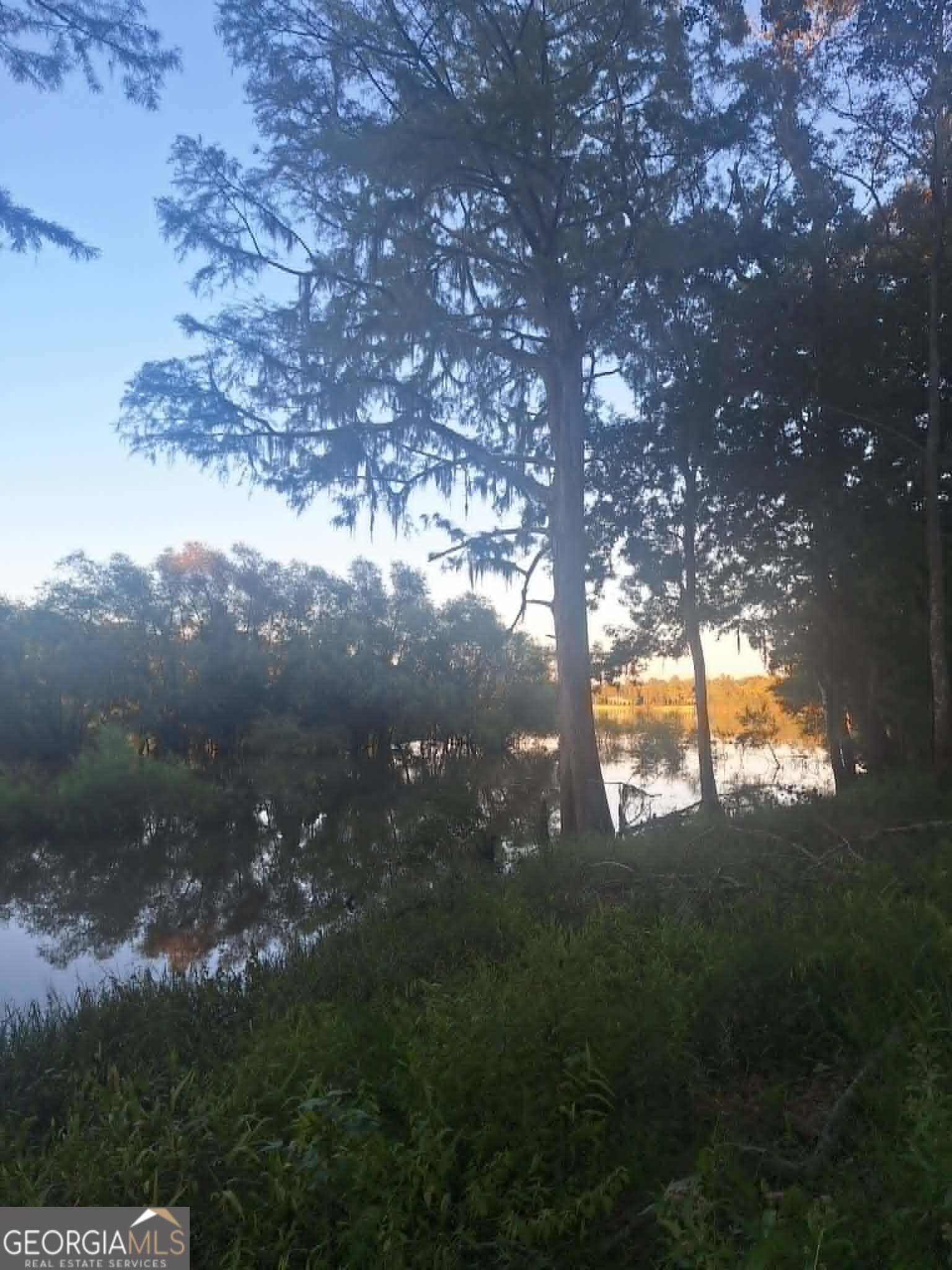 2 bedroom, 2 bathroom, 1,000 sq ft cabin,single family residence for sale at 0 Eagles Point, Surrency, GA 31563 — photo 4