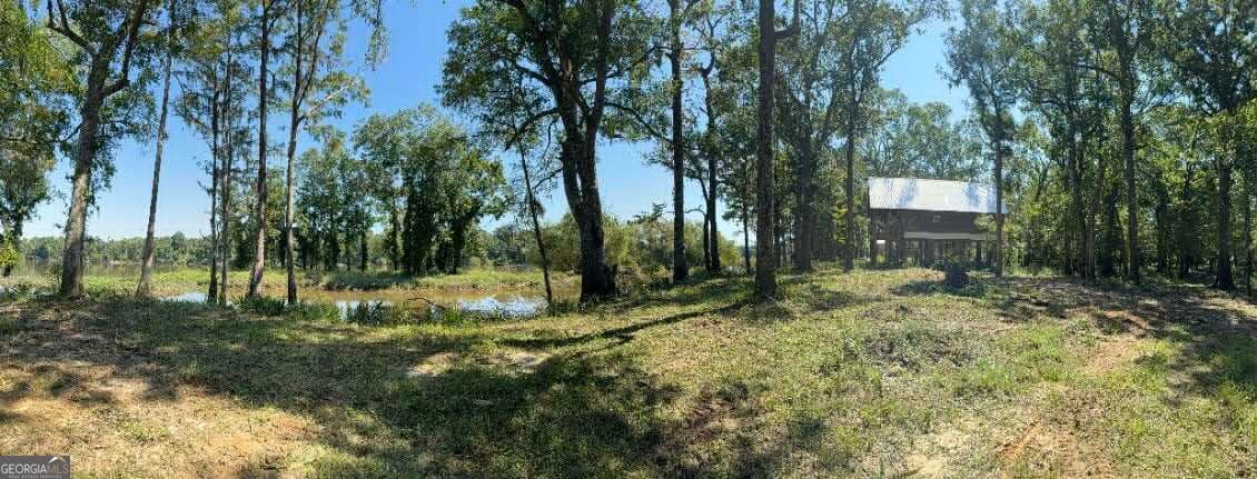 2 bedroom, 2 bathroom, 1,000 sq ft cabin,single family residence for sale at 0 Eagles Point, Surrency, GA 31563 — photo 8