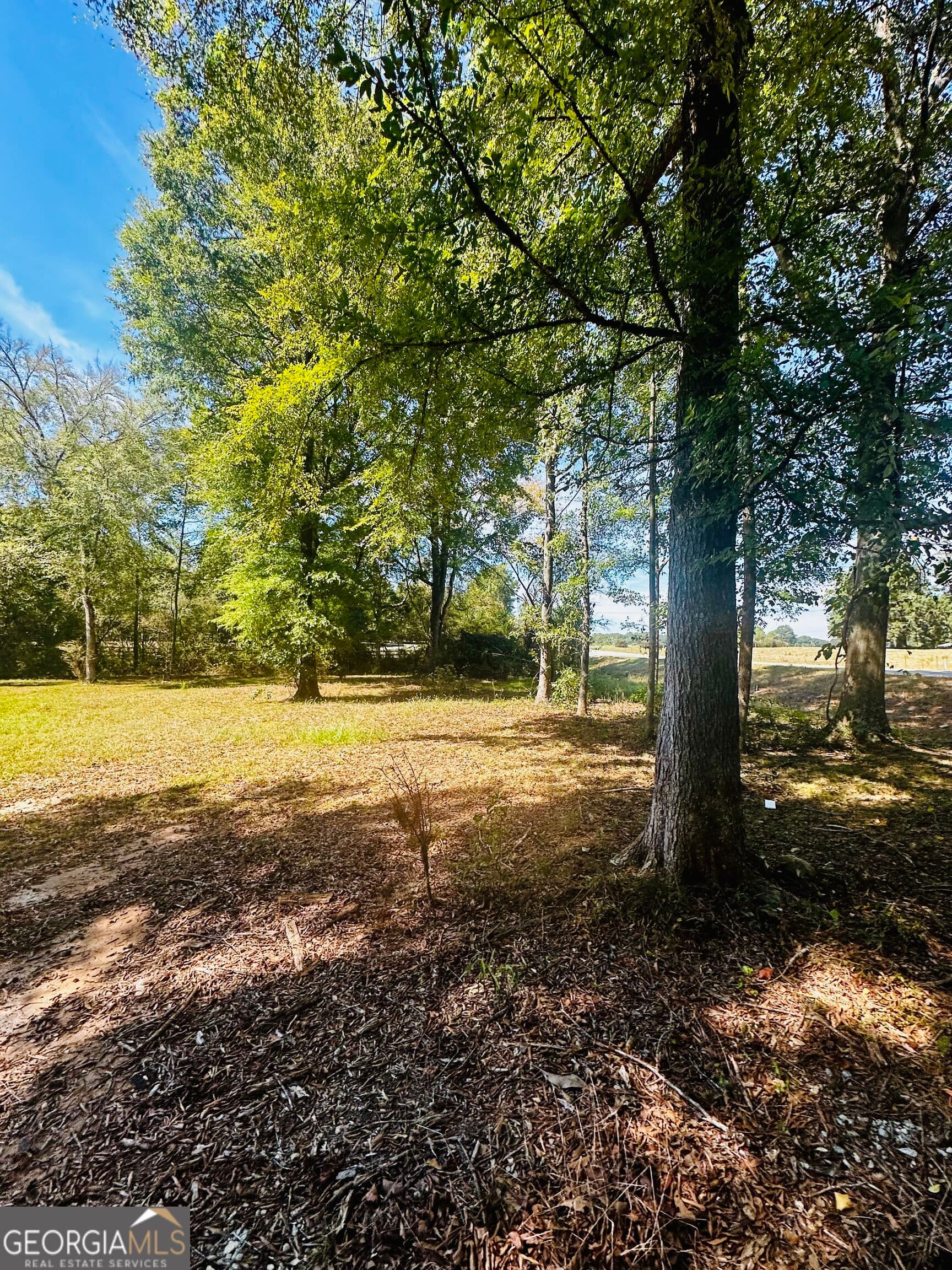 agriculture for sale at 0 Newnan Road, Brooks, GA 30205 — photo 2