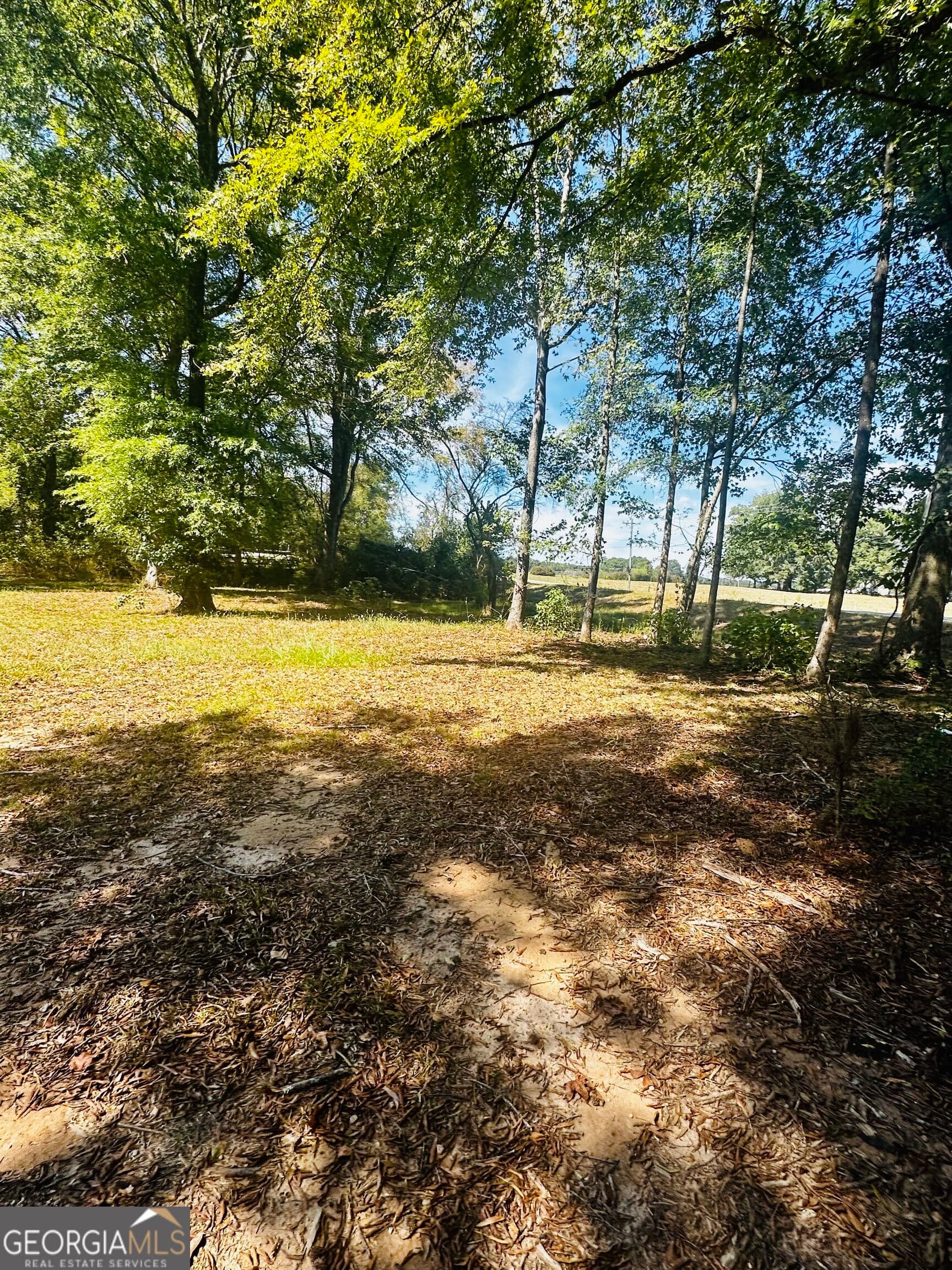 agriculture for sale at 0 Newnan Road, Brooks, GA 30205 — photo 6