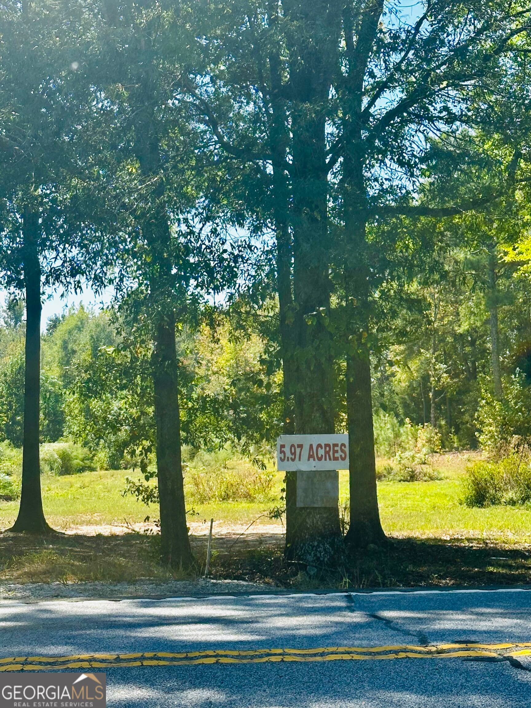 agriculture for sale at 0 Newnan Road, Brooks, GA 30205 — photo 7