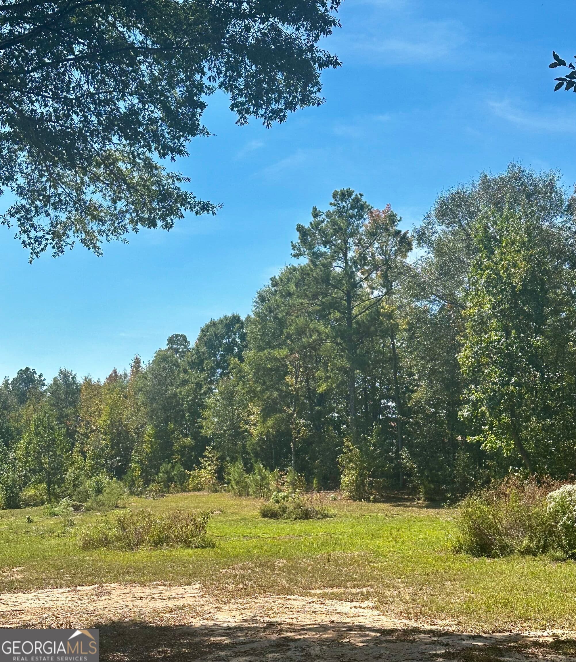 agriculture for sale at 0 Newnan Road, Brooks, GA 30205 — photo 3