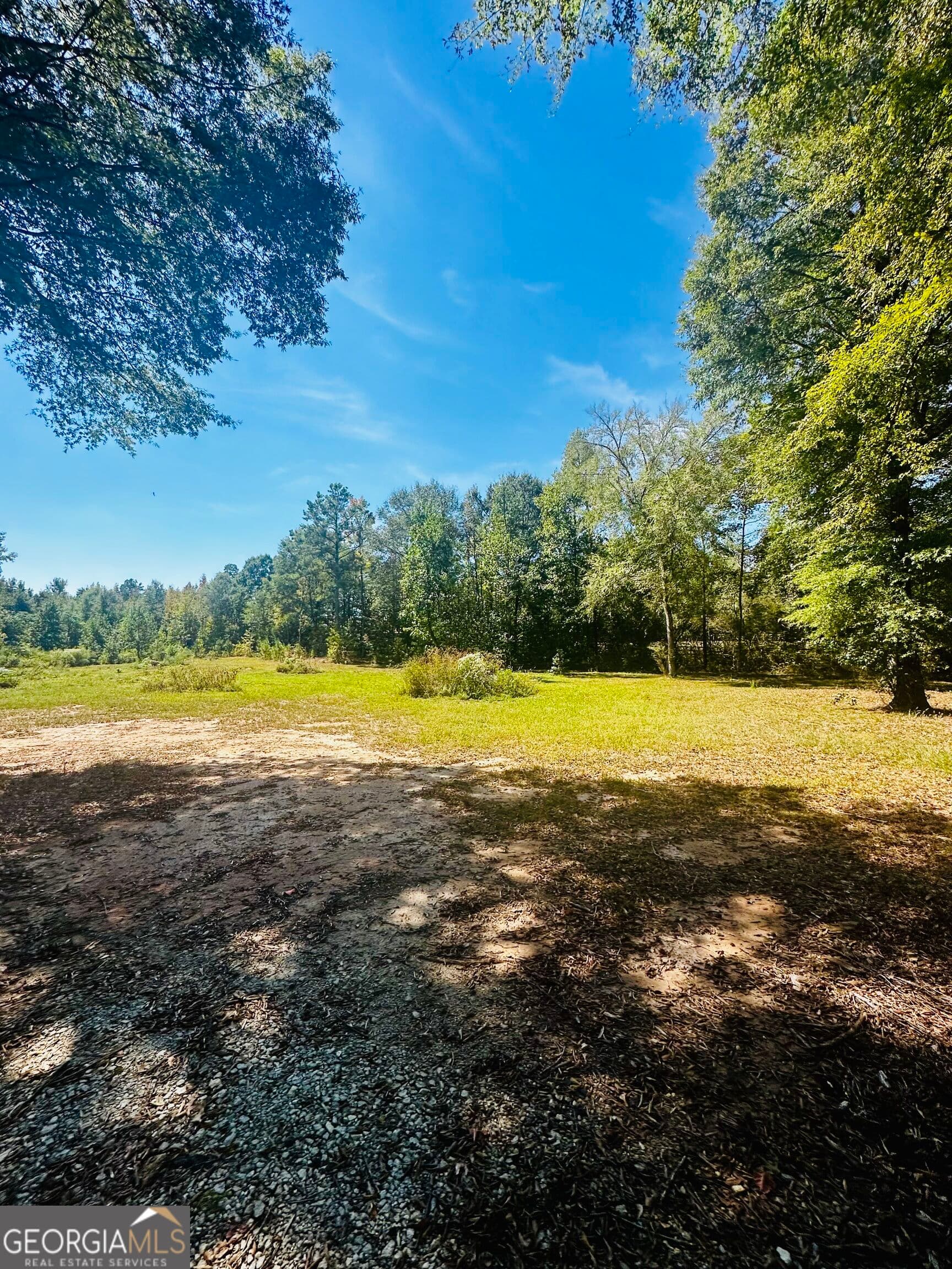 agriculture for sale at 0 Newnan Road, Brooks, GA 30205 — photo 5
