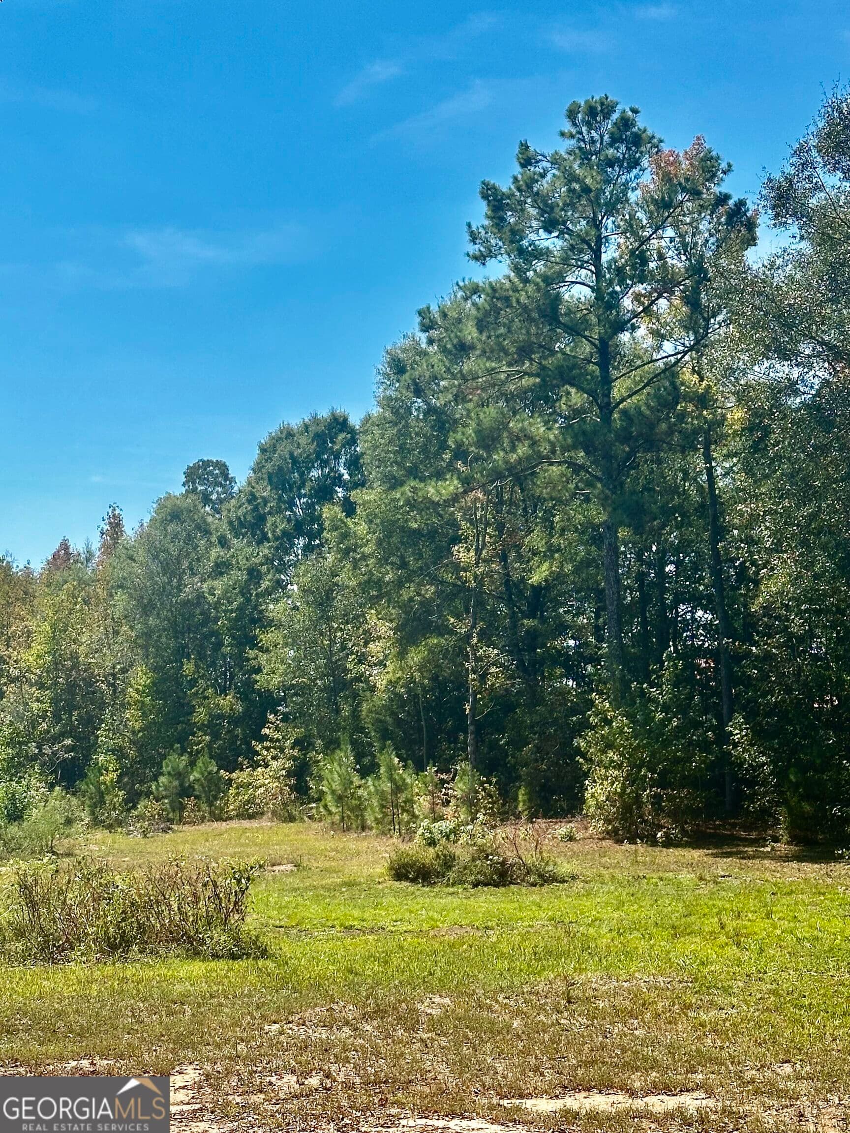 agriculture for sale at 0 Newnan Road, Brooks, GA 30205 — photo 4
