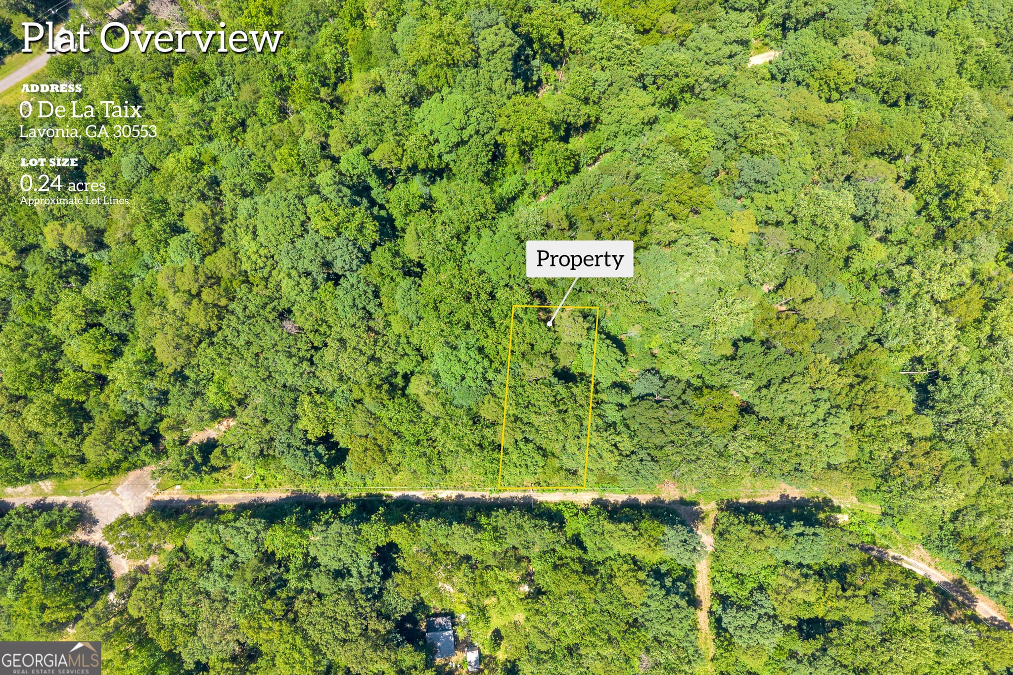 residential lot for sale at 0 De La Taix Drive, Lavonia, GA 30553 — photo 2