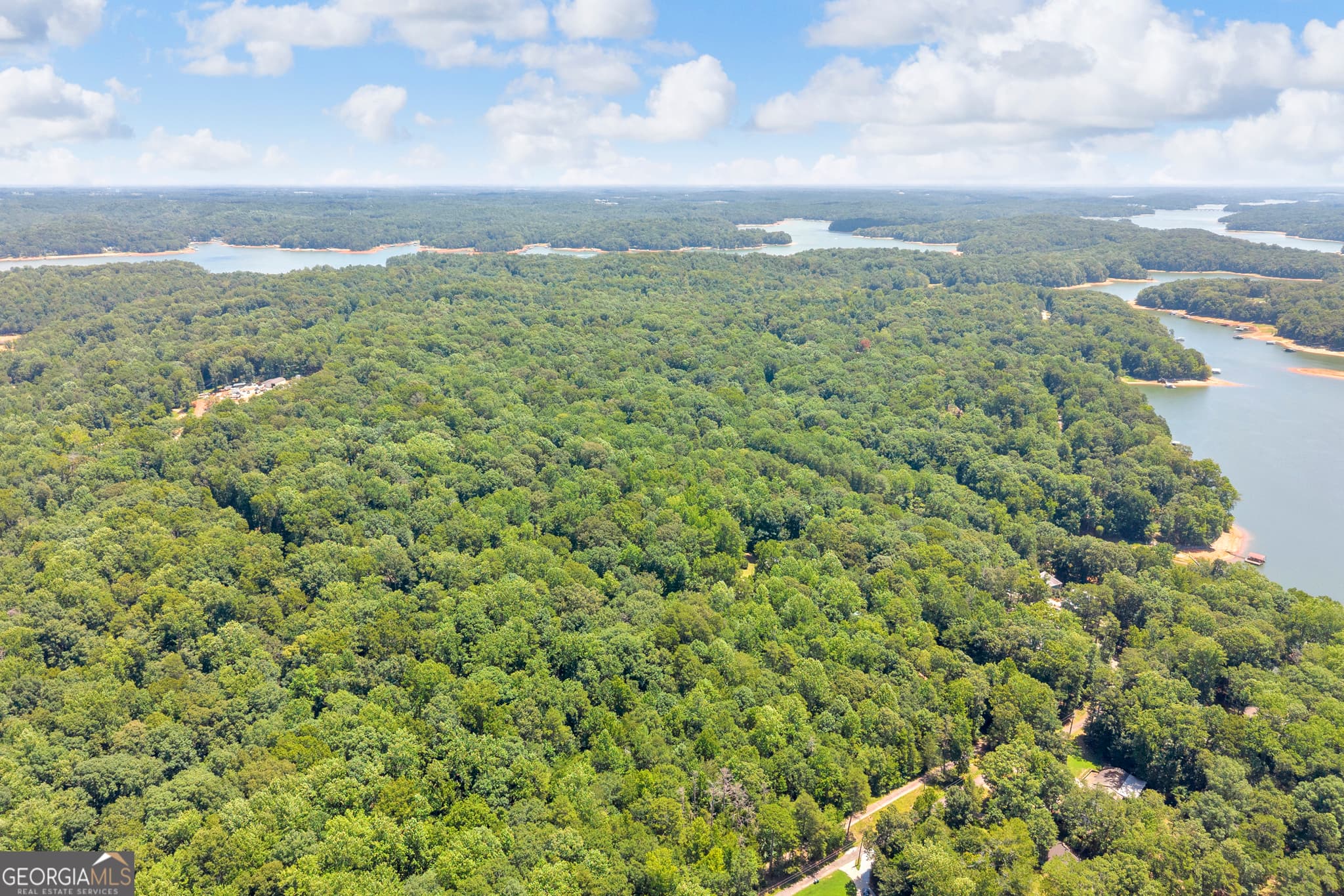 residential lot for sale at 0 De La Taix Drive, Lavonia, GA 30553 — photo 6