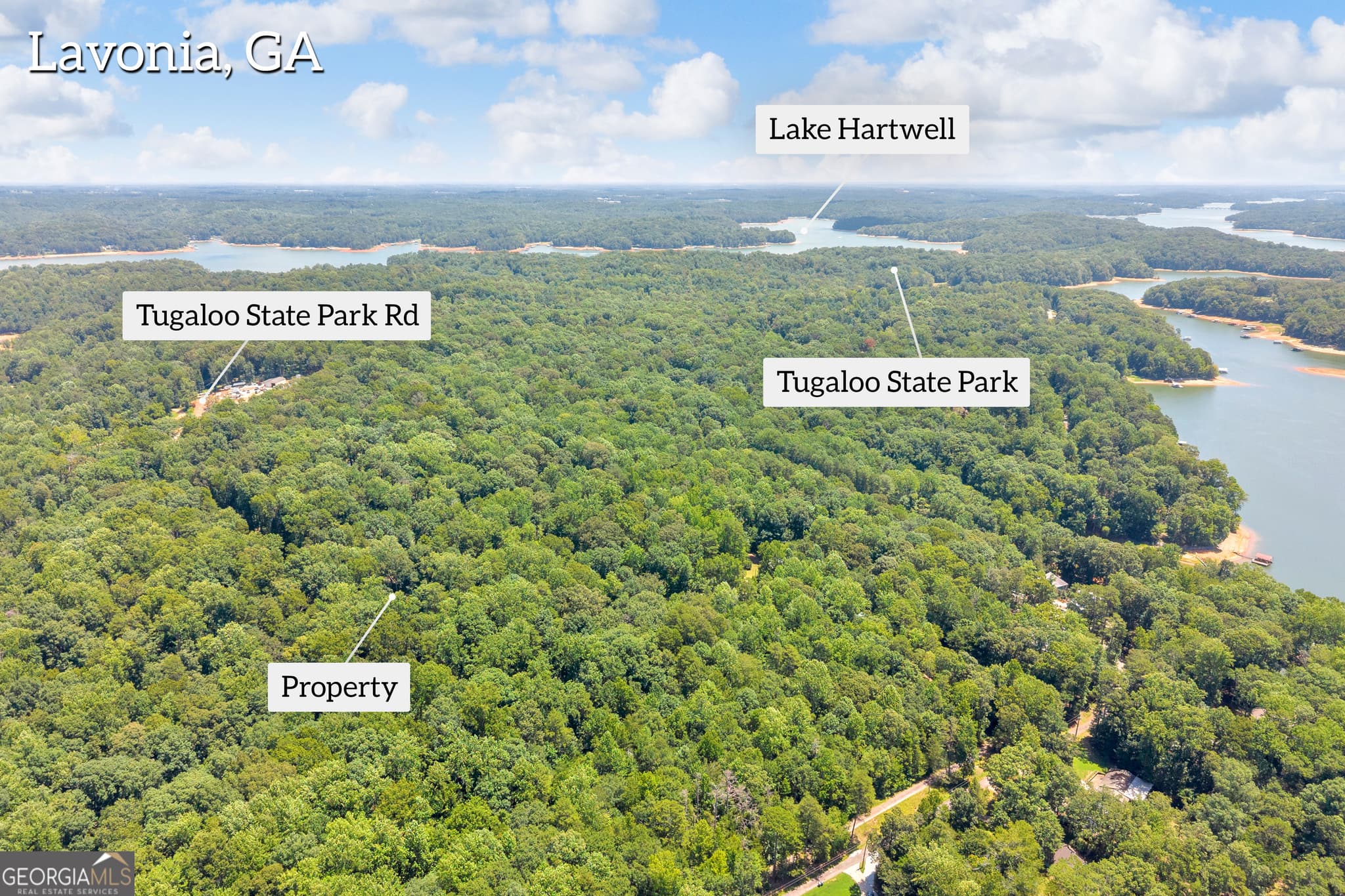 residential lot for sale at 0 De La Taix Drive, Lavonia, GA 30553 — photo 7
