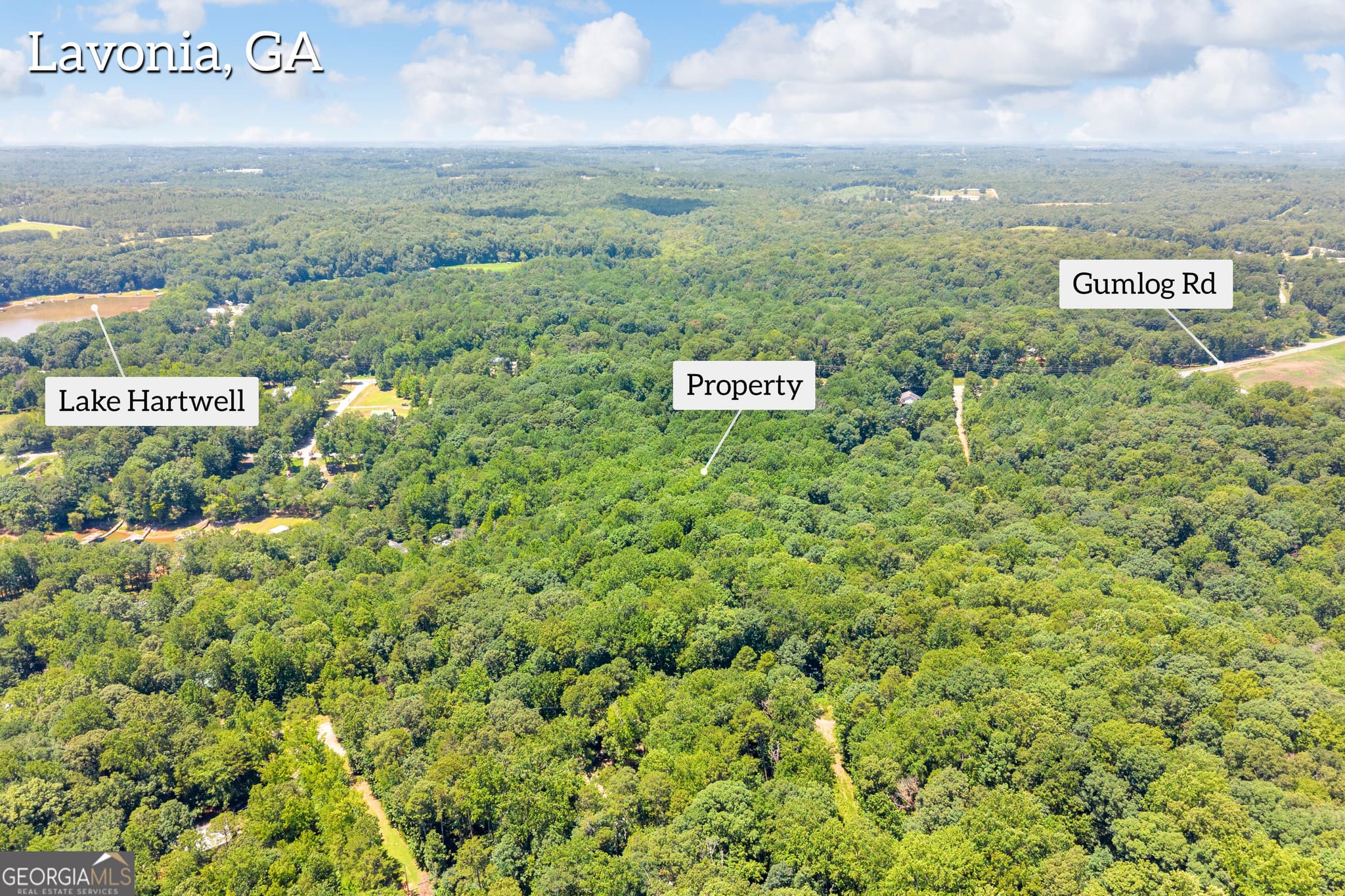 residential lot for sale at 0 De La Taix Drive, Lavonia, GA 30553 — photo 3