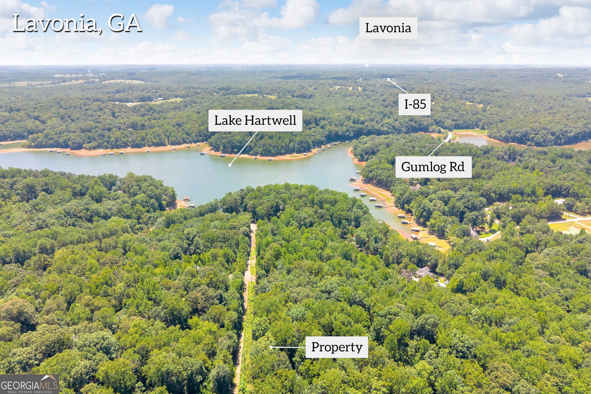 residential lot for sale at 0 De La Taix Drive, Lavonia, GA 30553 — photo 5