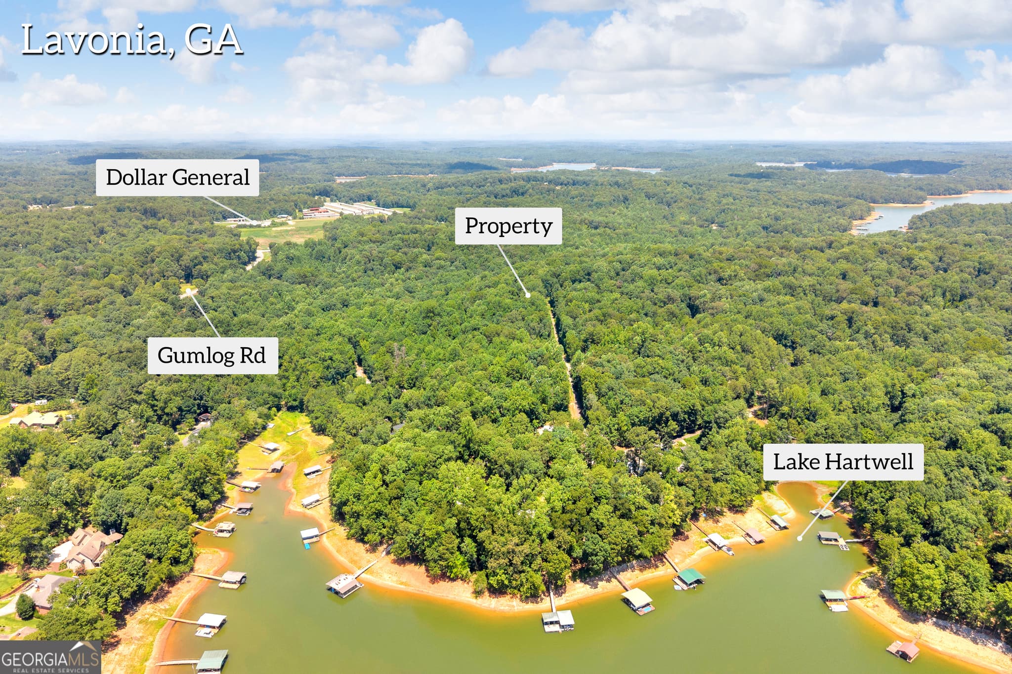residential lot for sale at 0 De La Taix Drive, Lavonia, GA 30553 — photo 9