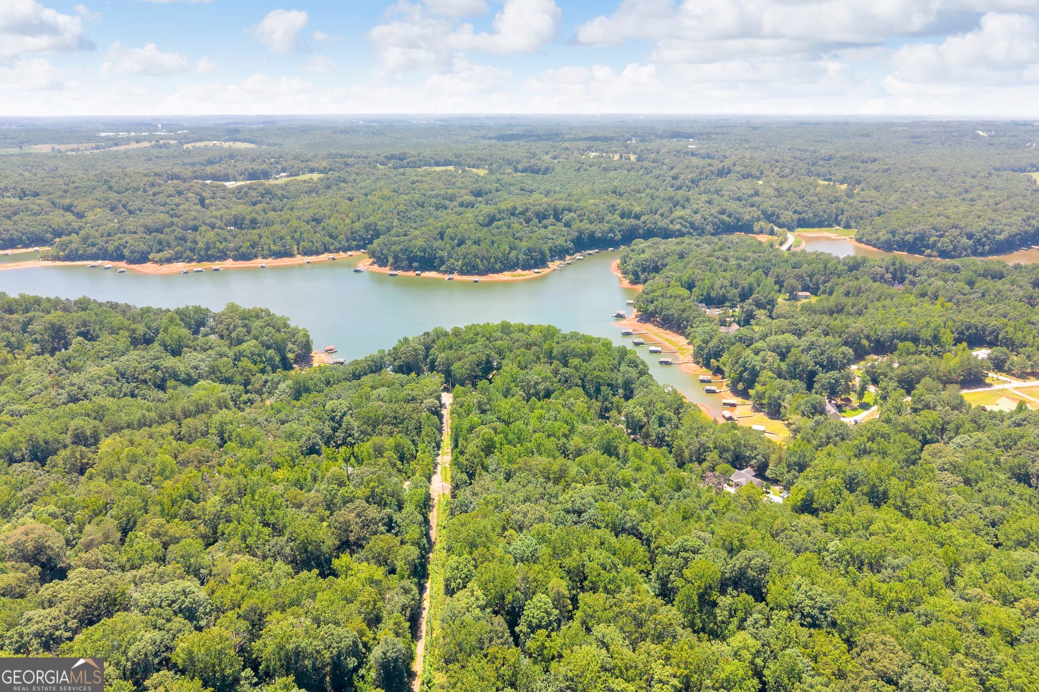 residential lot for sale at 0 De La Taix Drive, Lavonia, GA 30553 — photo 4