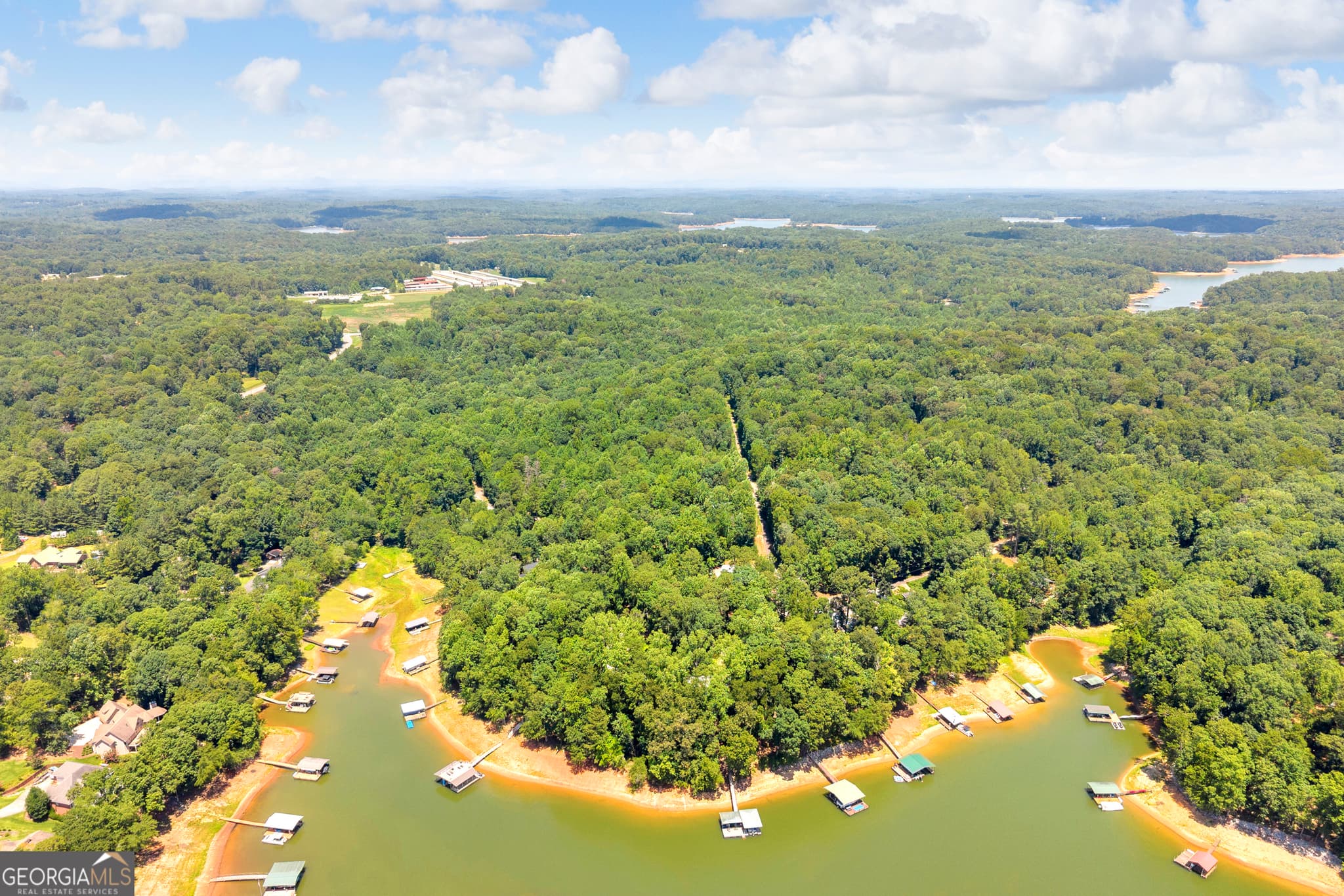 residential lot for sale at 0 De La Taix Drive, Lavonia, GA 30553 — photo 8