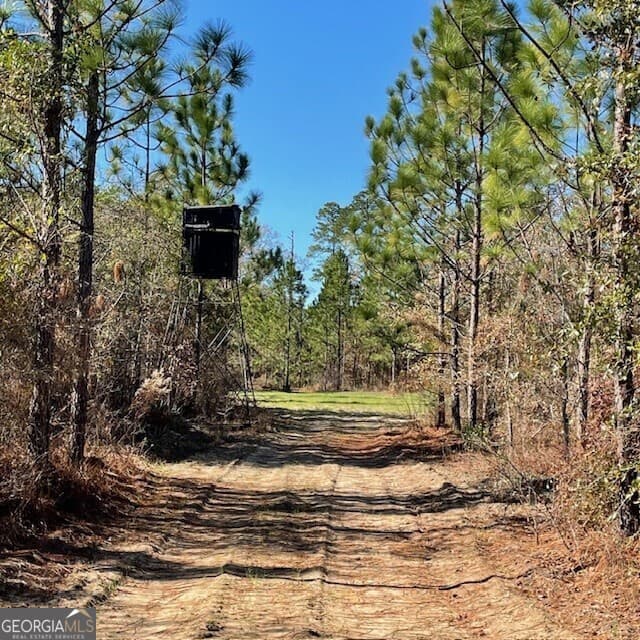 unimproved land for sale at LOT A Pineville Road 100+/- ACRES, Buena Vista, GA 31803 — photo 6