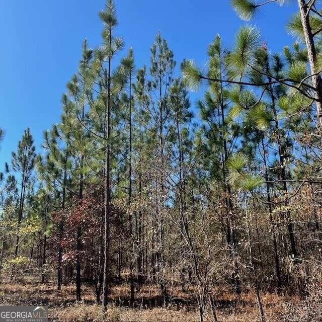 unimproved land for sale at LOT A Pineville Road 100+/- ACRES, Buena Vista, GA 31803 — photo 7