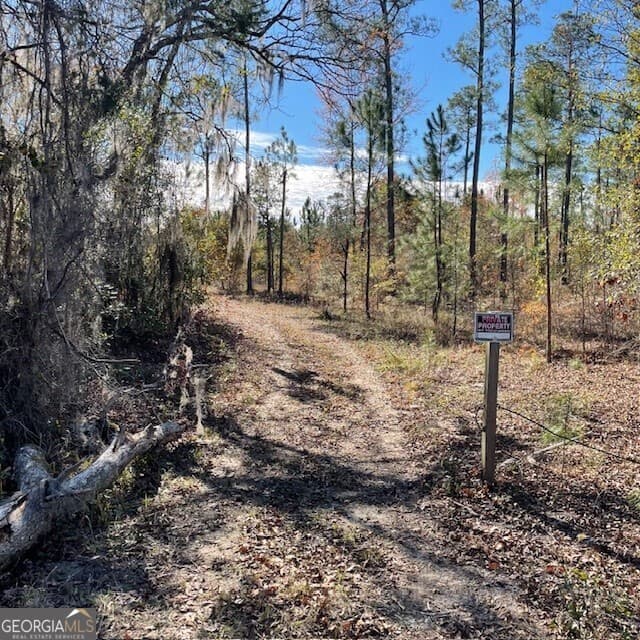 unimproved land for sale at LOT A Pineville Road 100+/- ACRES, Buena Vista, GA 31803 — photo 3