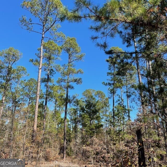 unimproved land for sale at LOT A Pineville Road 100+/- ACRES, Buena Vista, GA 31803 — photo 5