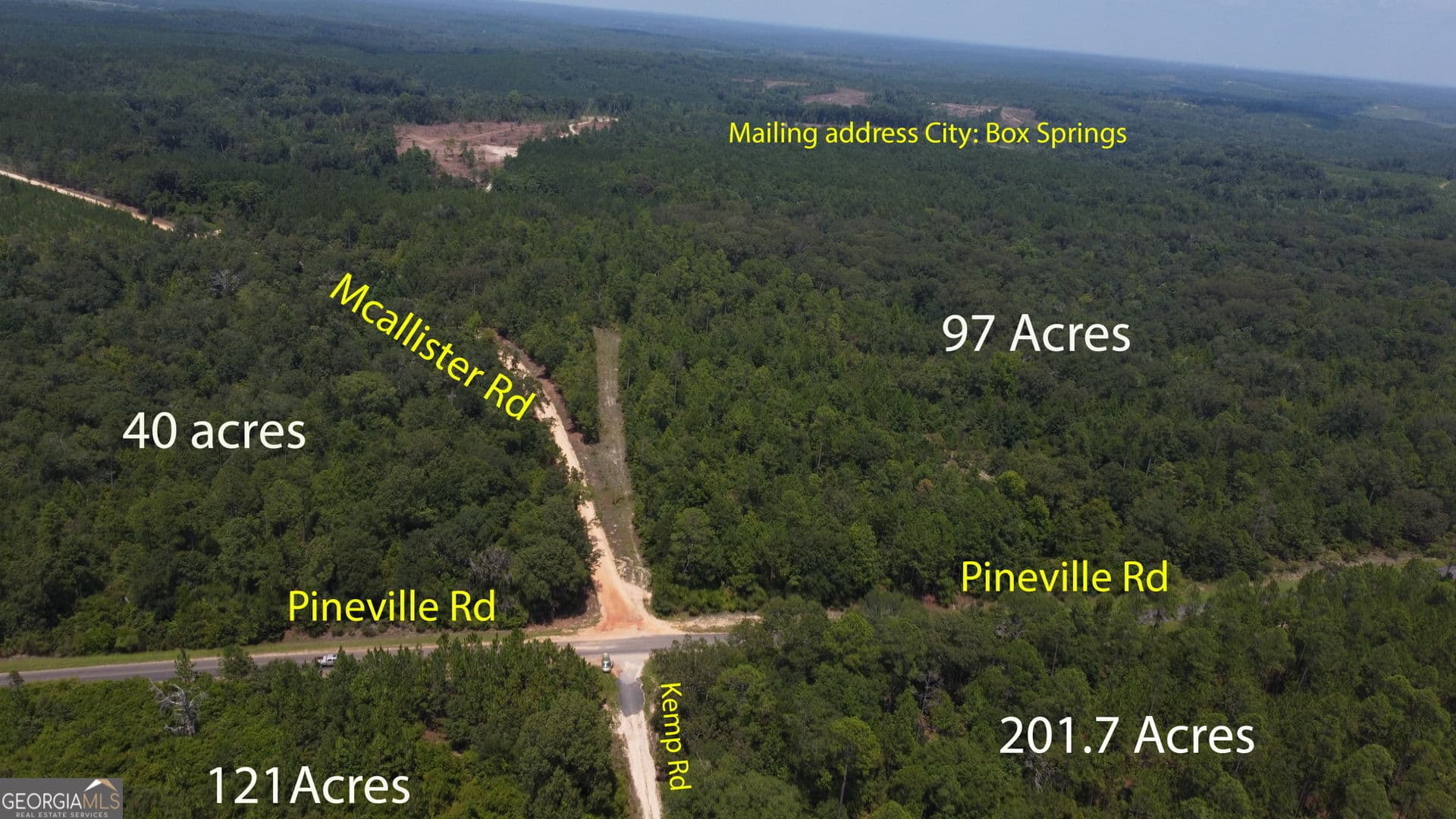 unimproved land for sale at LOT A Pineville Road 100+/- ACRES, Buena Vista, GA 31803 — photo 9