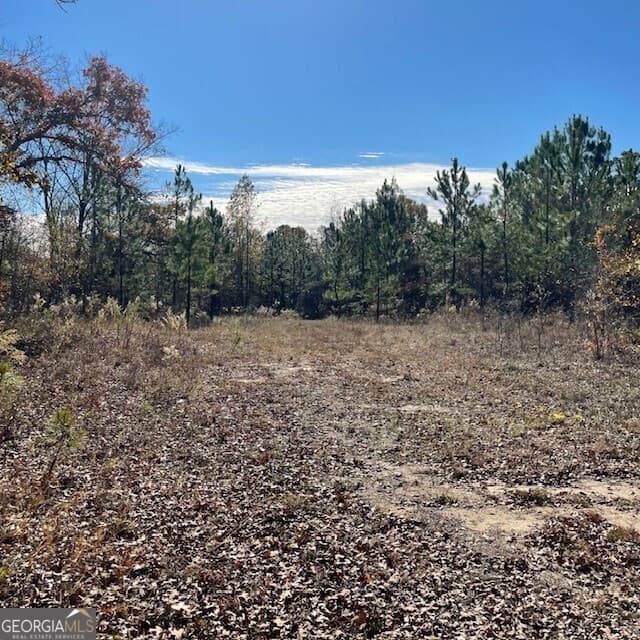 unimproved land for sale at LOT A Pineville Road 100+/- ACRES, Buena Vista, GA 31803 — photo 4