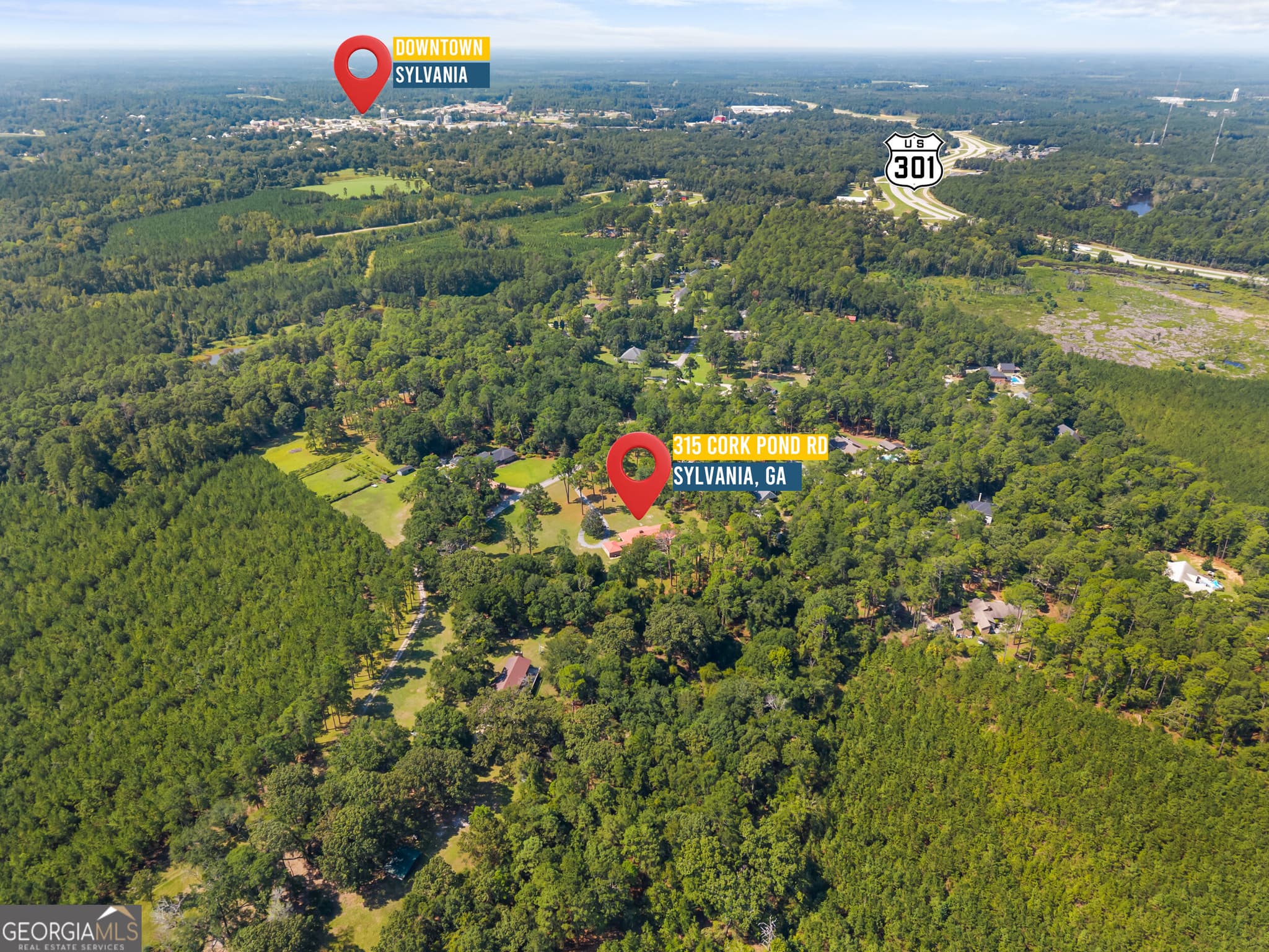 4 bedroom, 4 bathroom, 3,779 sq ft single family residence for sale at 315 Cork Pond Road, Sylvania, GA 30467 — photo 4