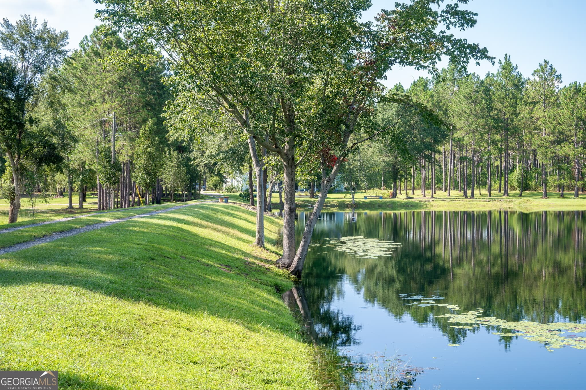 10 bedroom, 8.5 bathroom, 6,987 sq ft single family residence for sale at 110 Bethel Village Road, Eastman, GA 31023 — photo 8