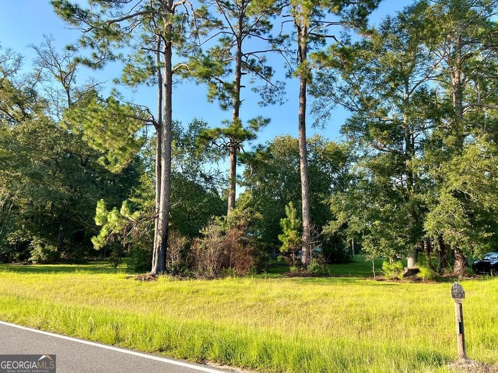 341 Sheltons Chapel Road, Lumber City, GA 31549 — most recent listing photo